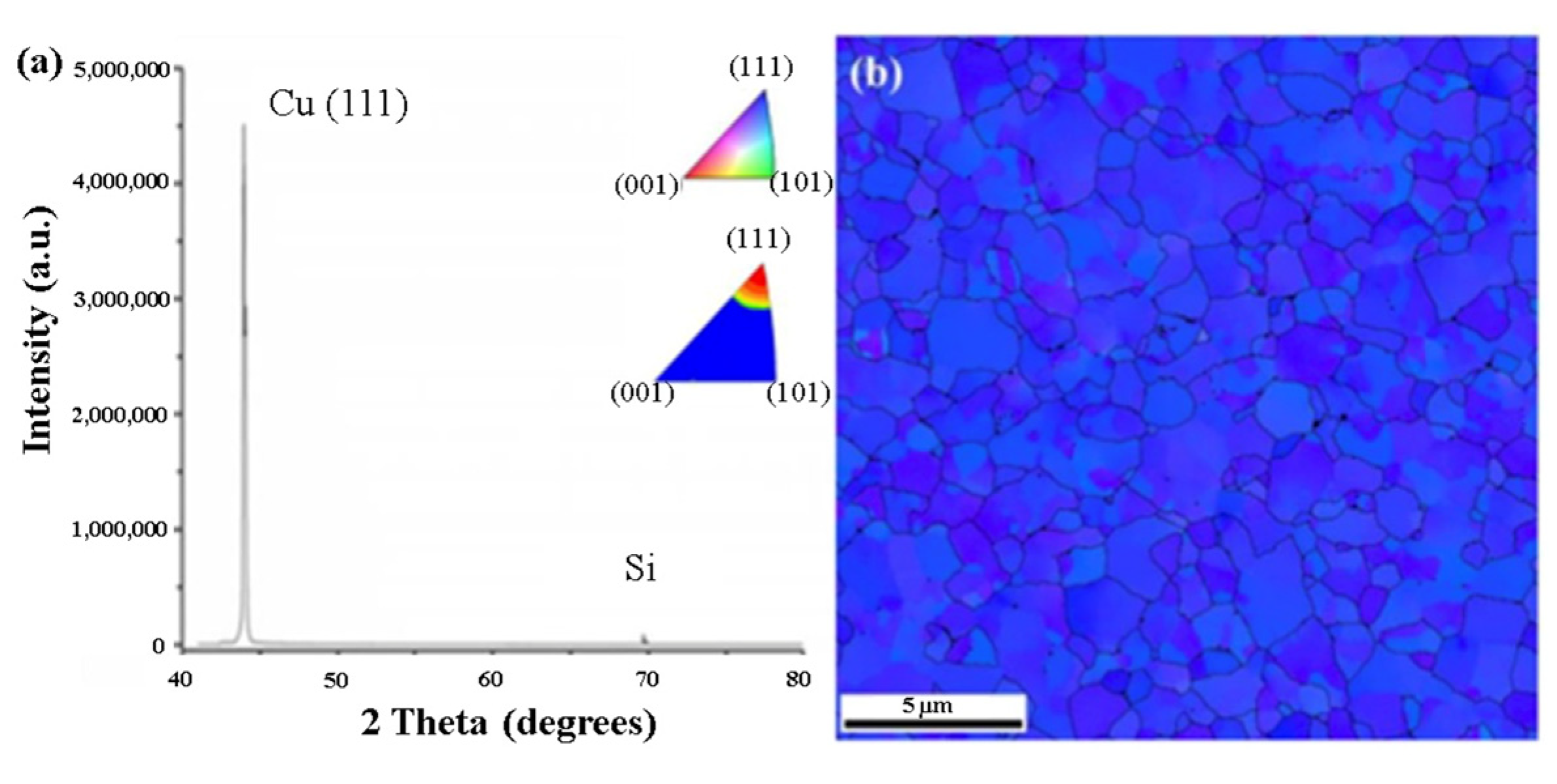Nanomaterials 13 02490 g007