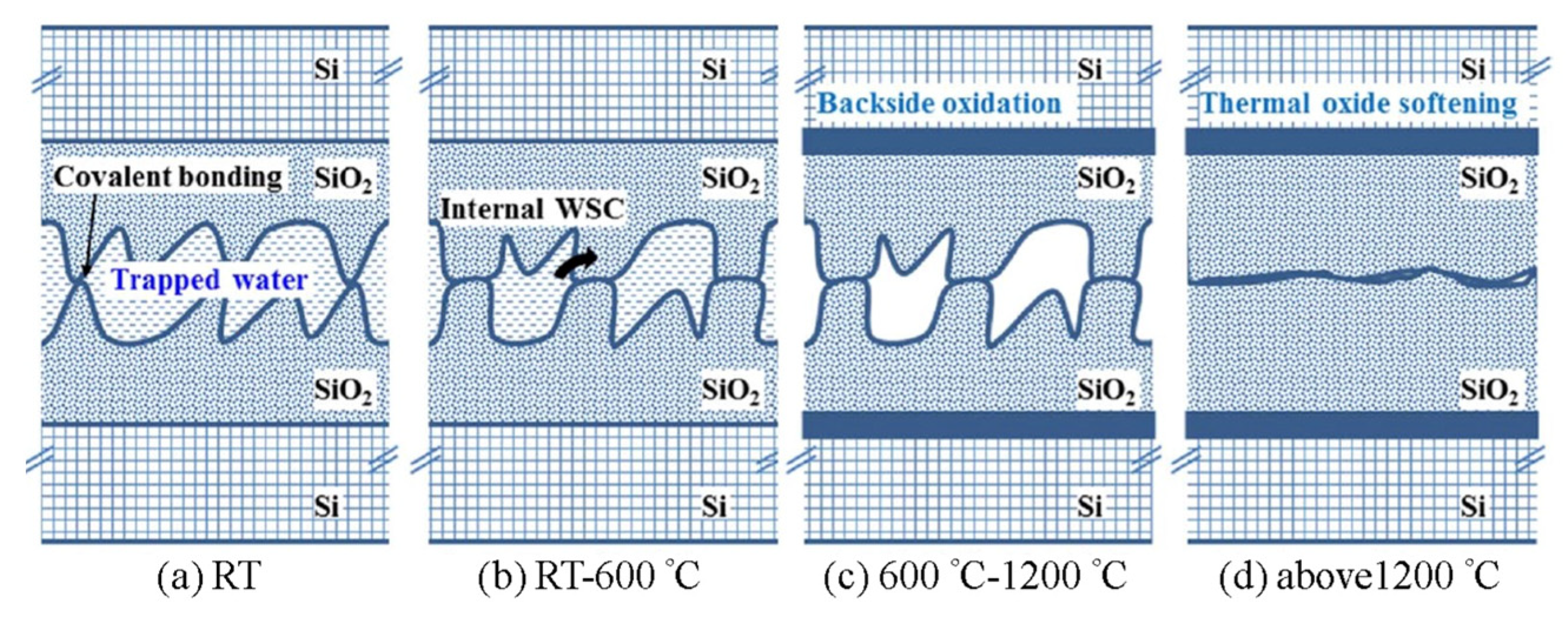 Nanomaterials 13 02490 g010