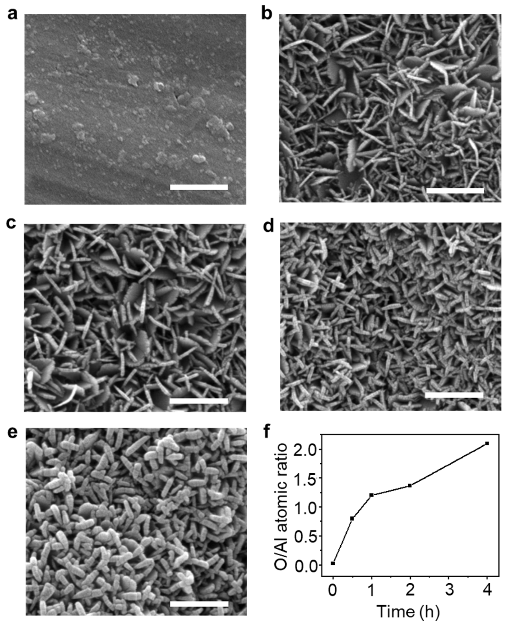 Nanomaterials 13 02838 g001