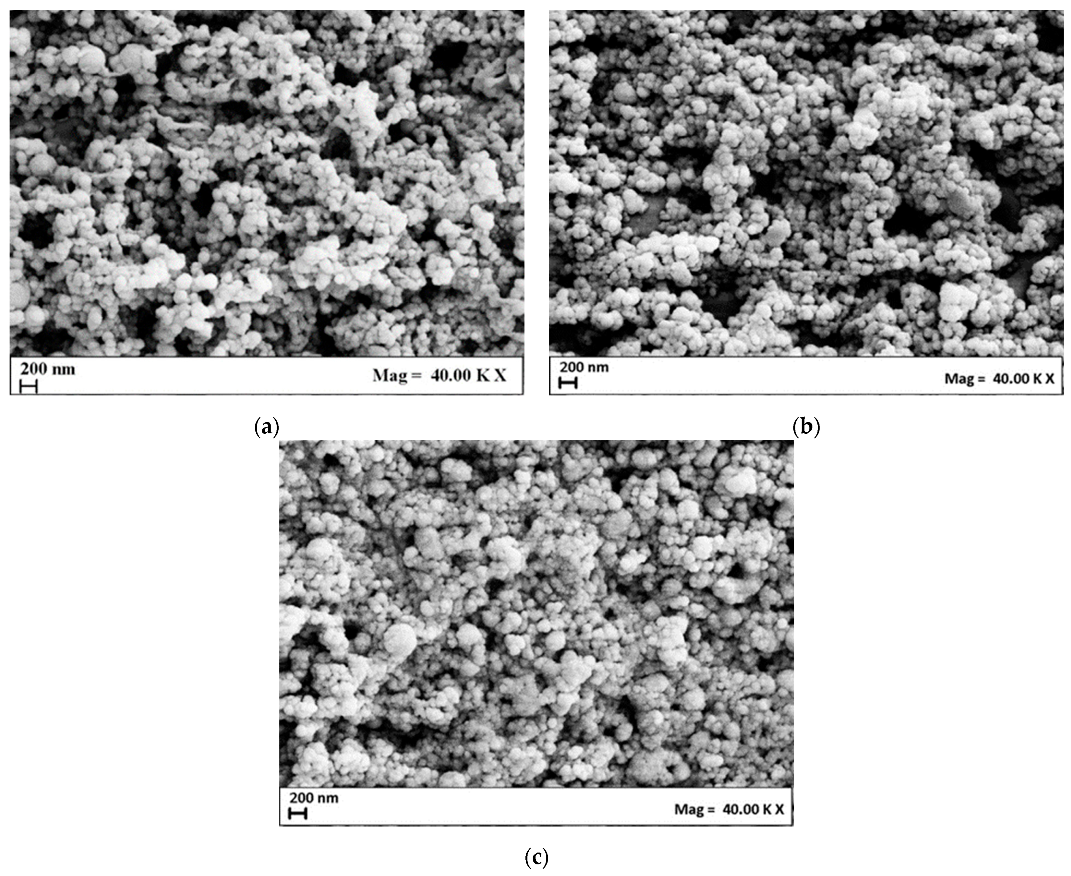 Nanomaterials 14 00846 g001