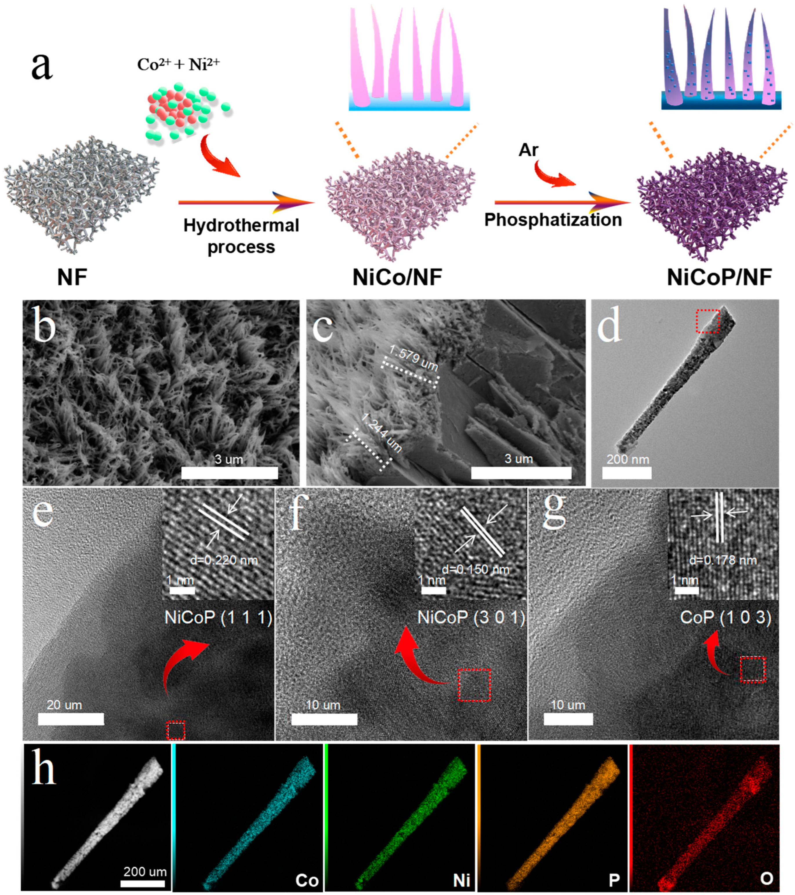 Nanomaterials 14 00853 g001