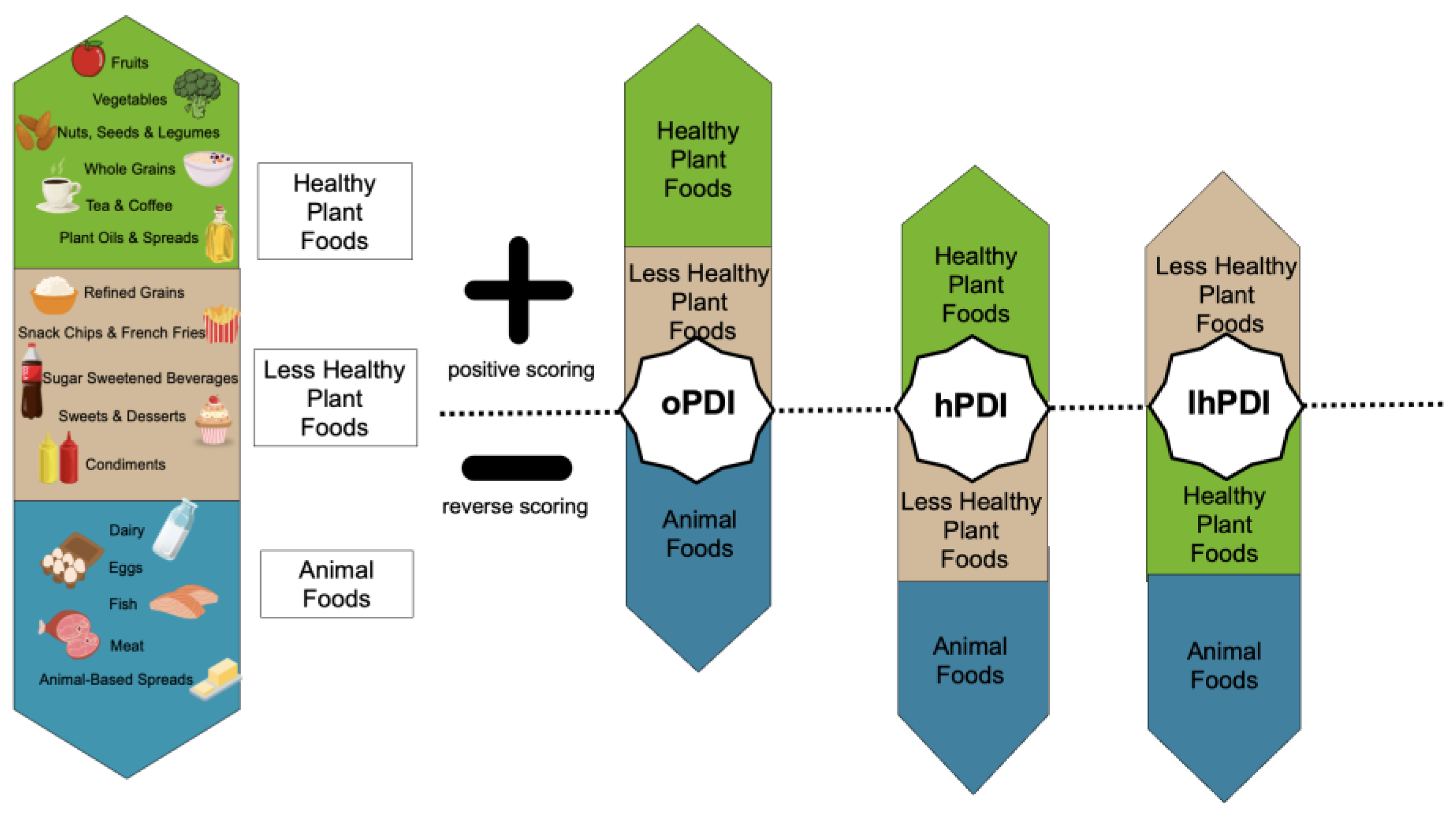 Nutrients 15 04617 g001