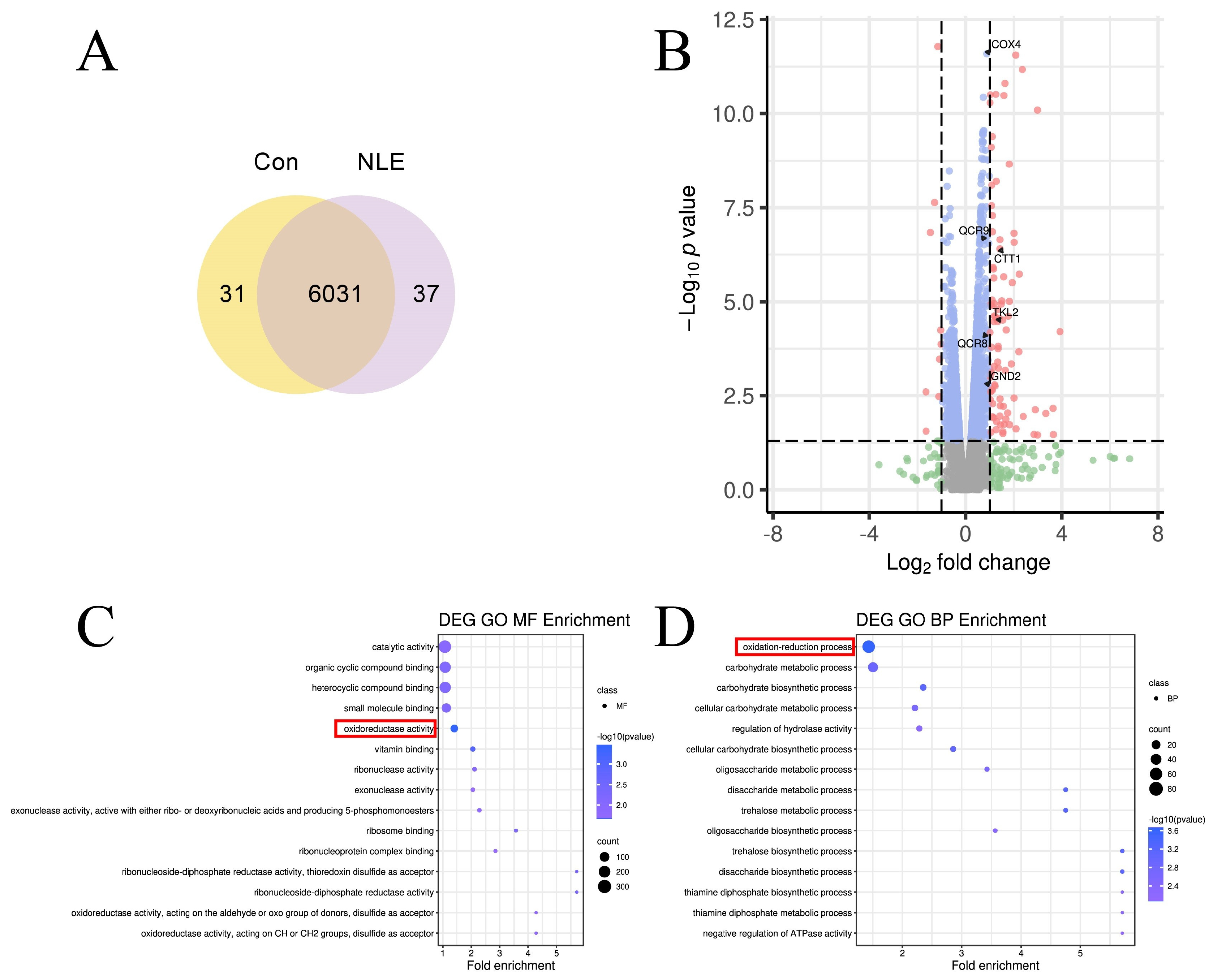 Nutrients 16 01506 g004a