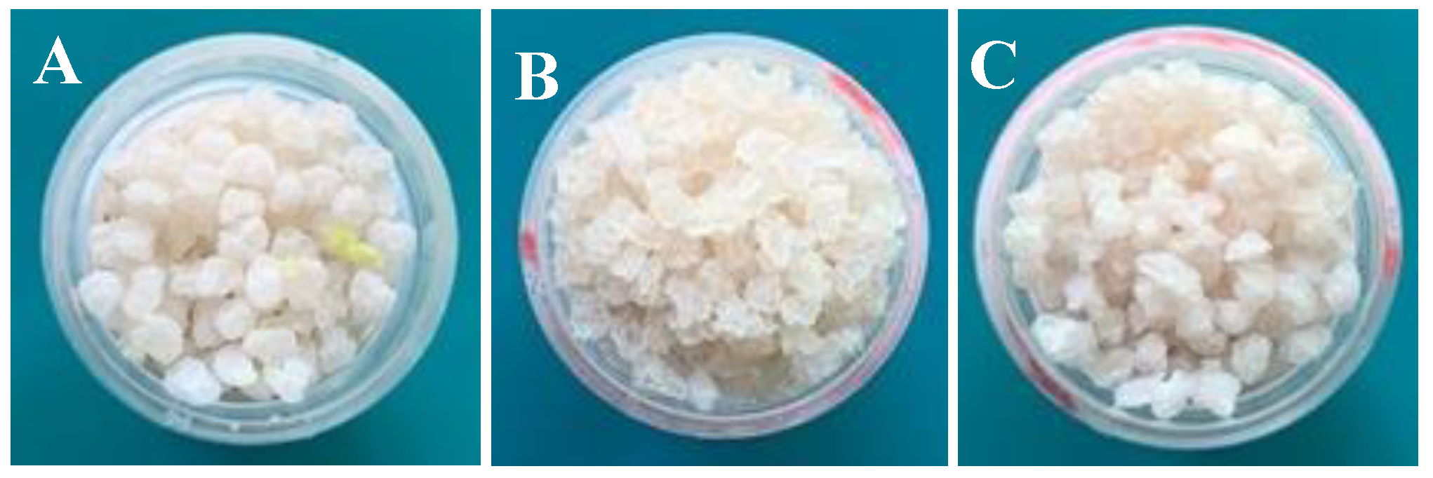 Pharmaceuticals 17 00599 g002