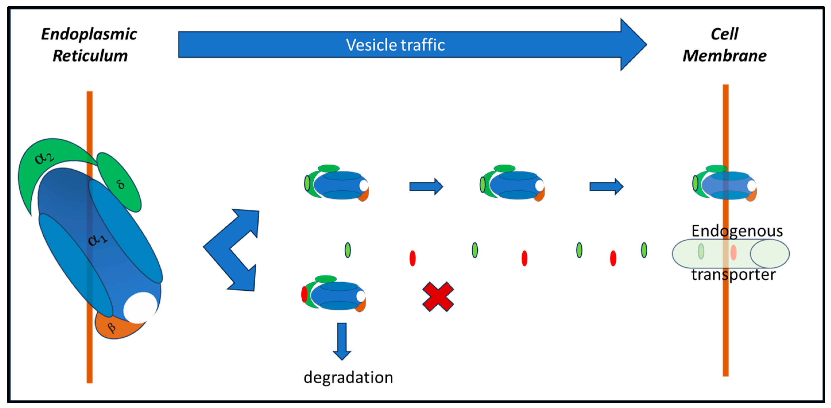 Pharmaceuticals 17 00623 g003