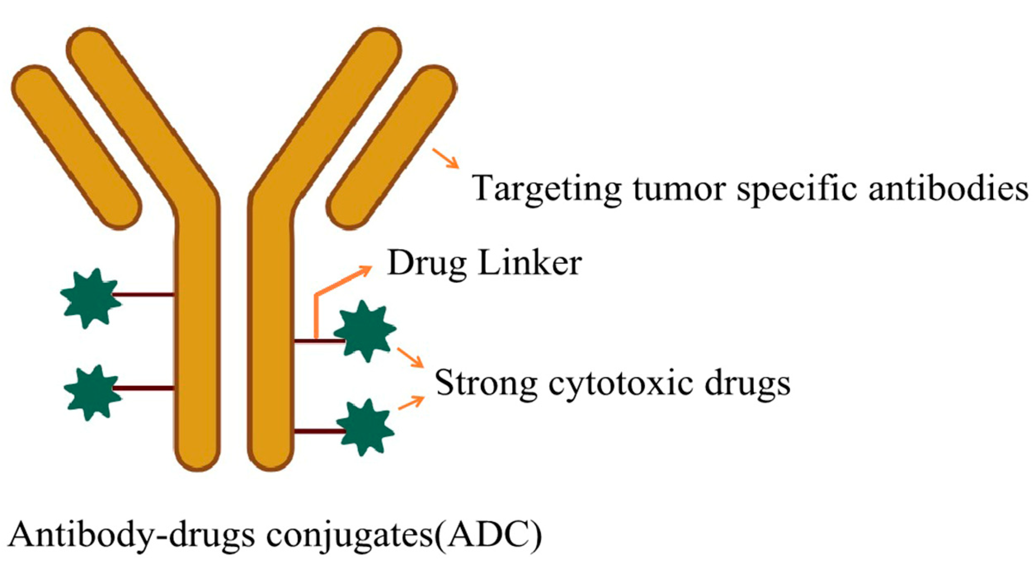 Pharmaceutics 16 00674 g005