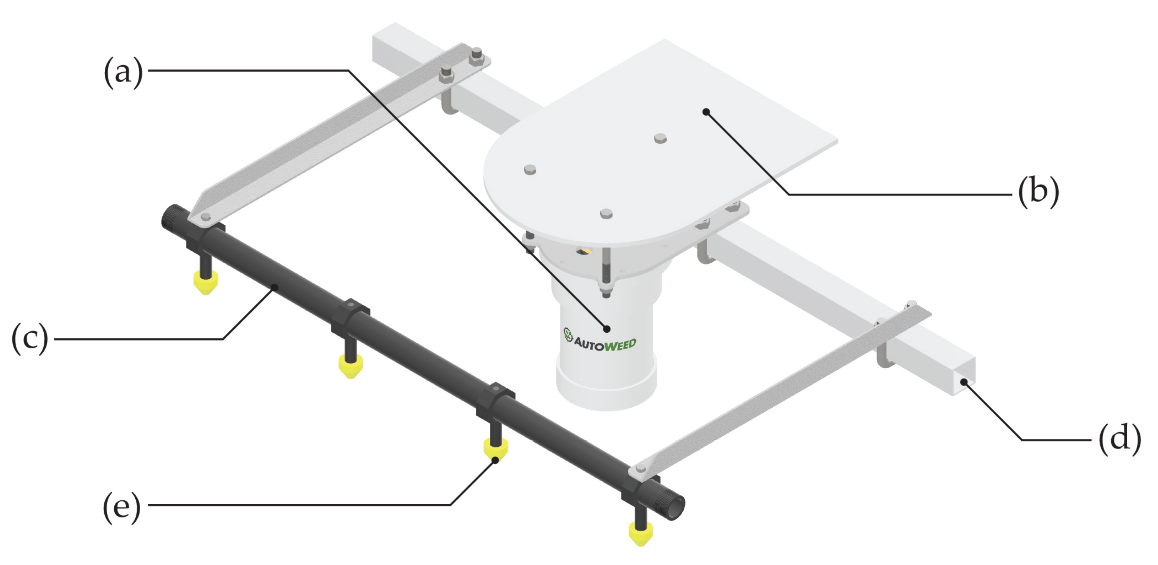 Plants 10 02054 g003