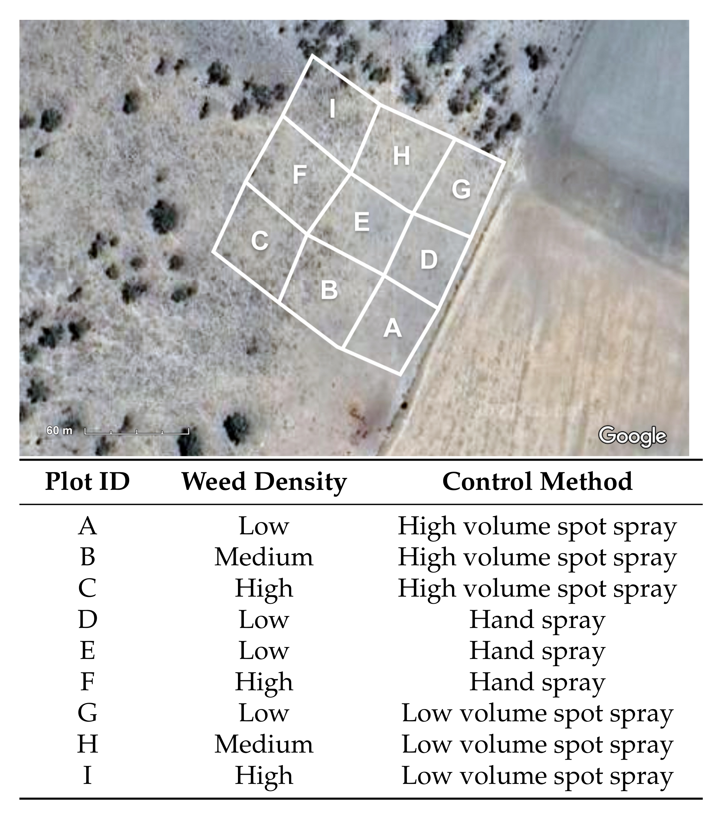 Plants 10 02054 g005