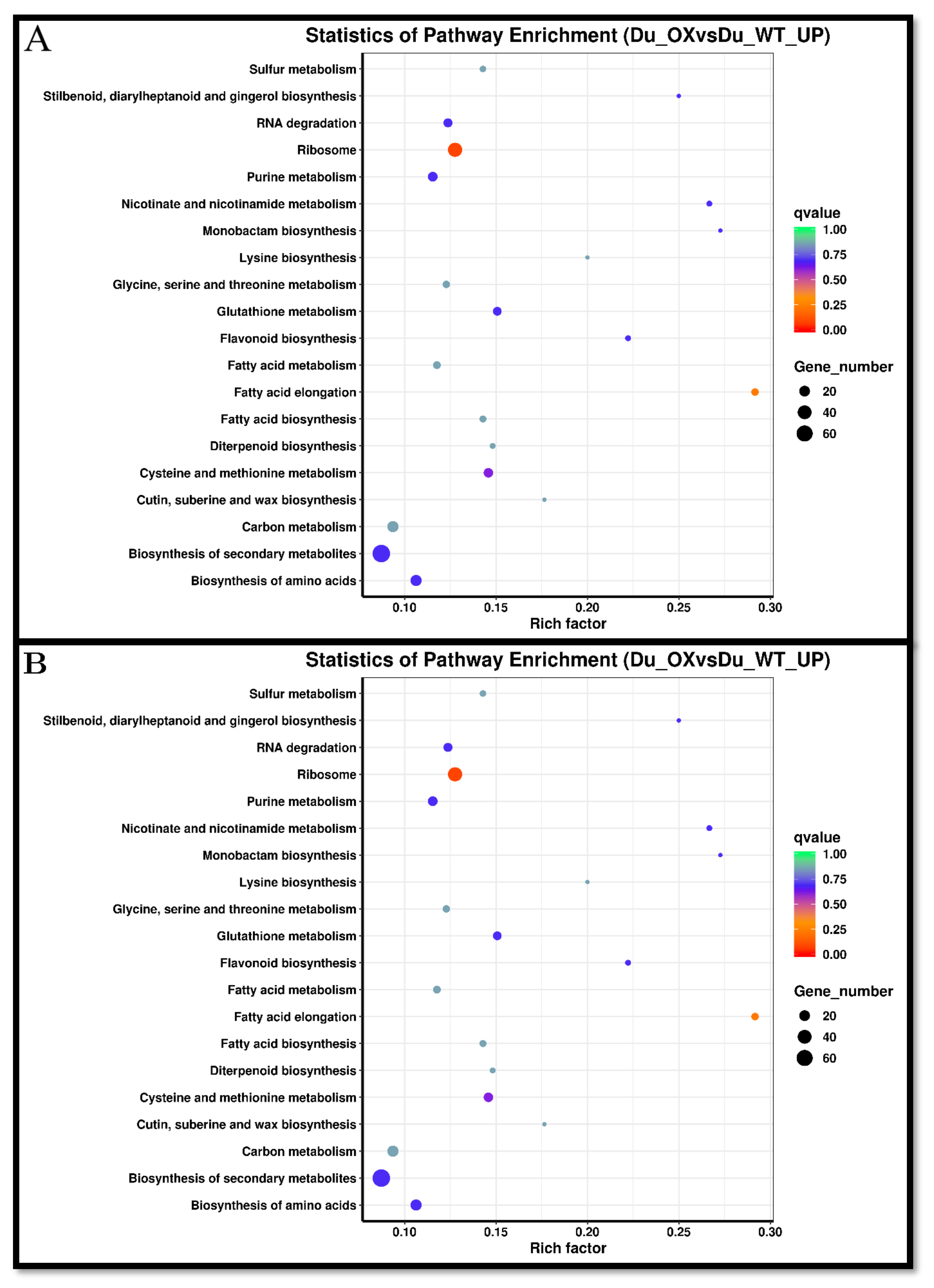 Plants 10 02210 g007