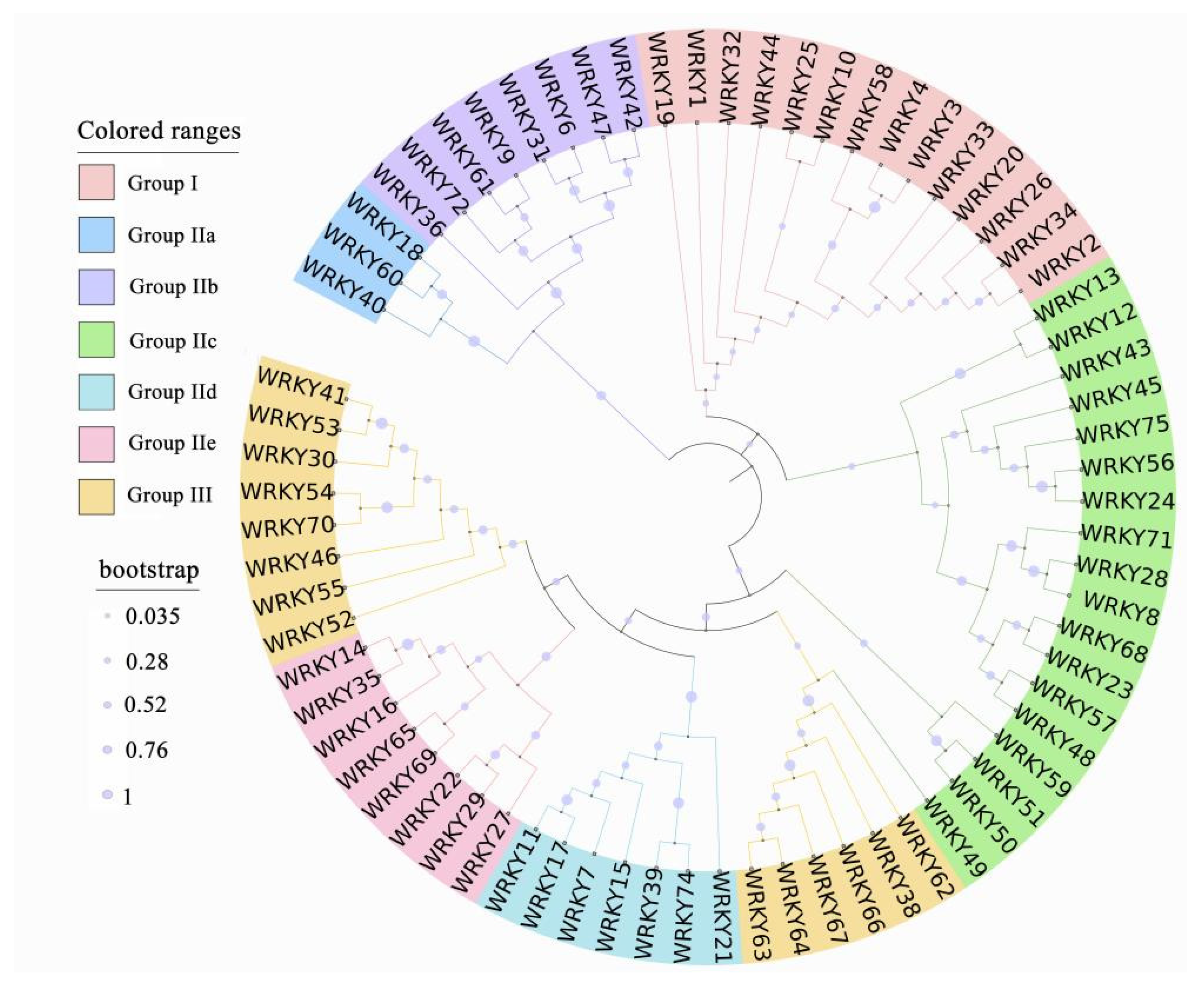 Plants 10 02211 g001