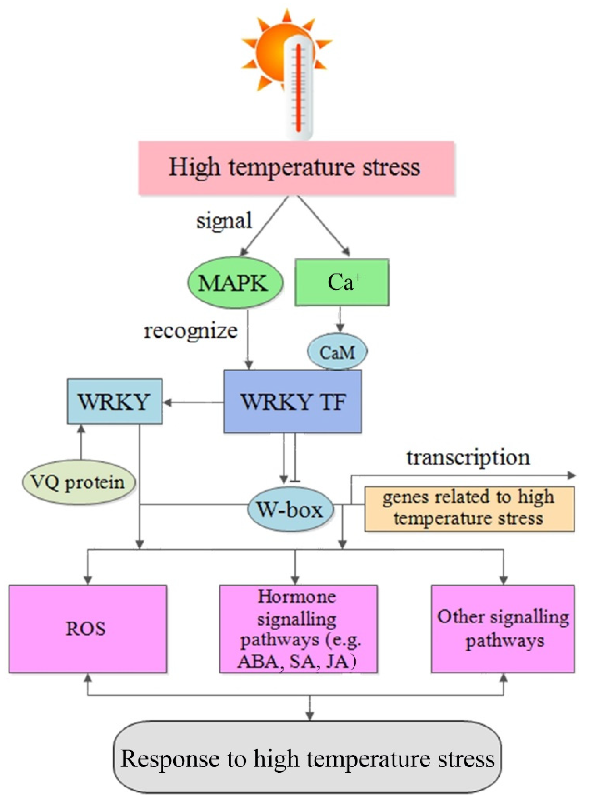Plants 10 02211 g003