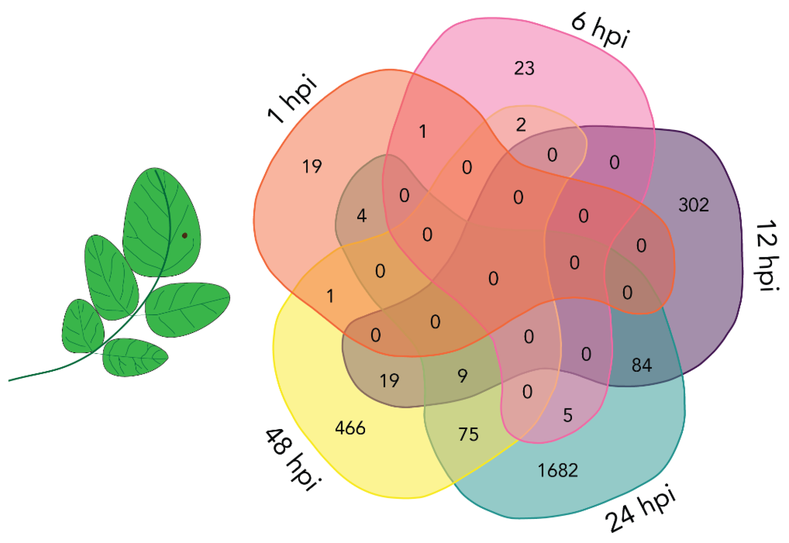 Plants 10 02212 g003