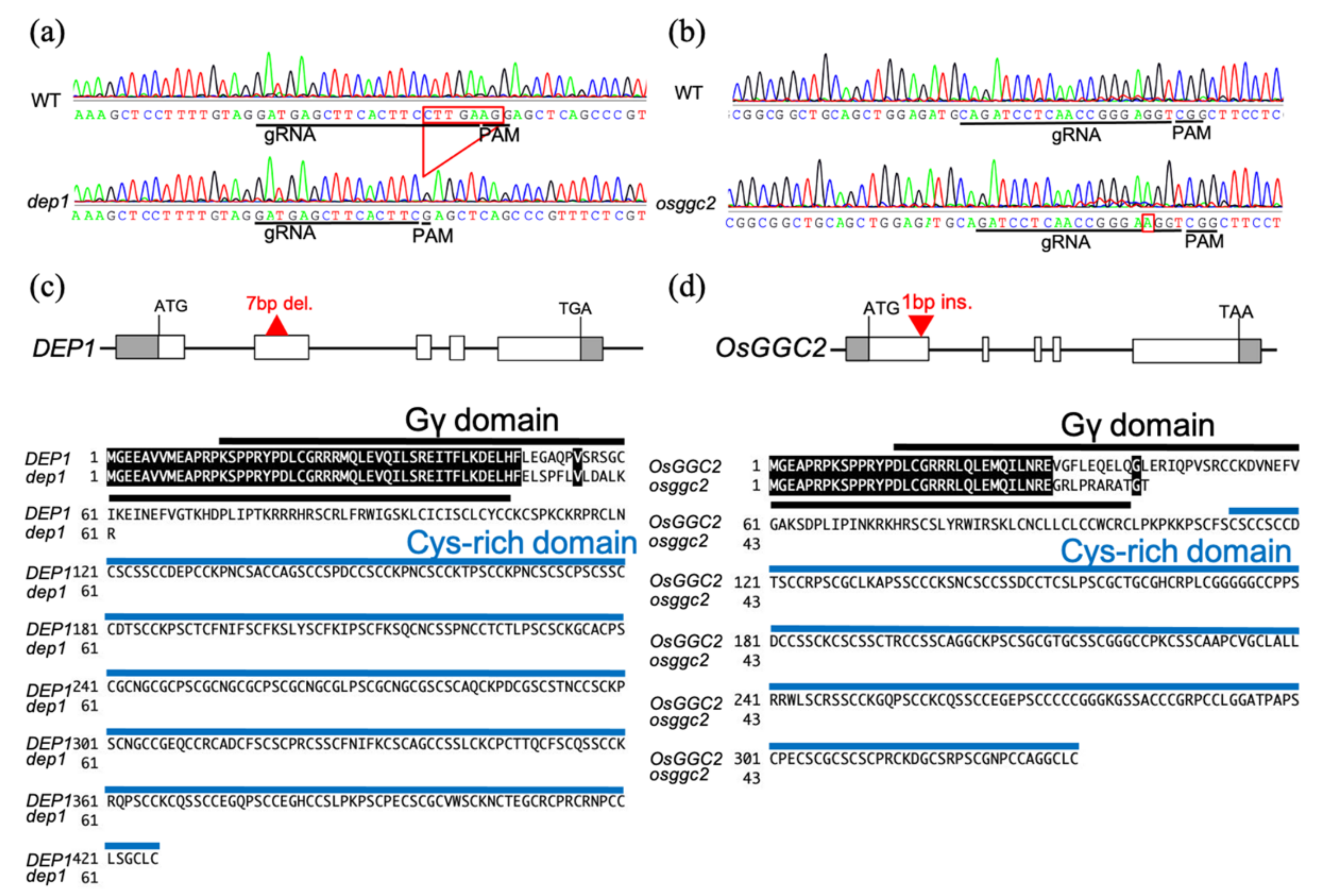 Plants 11 00422 g001