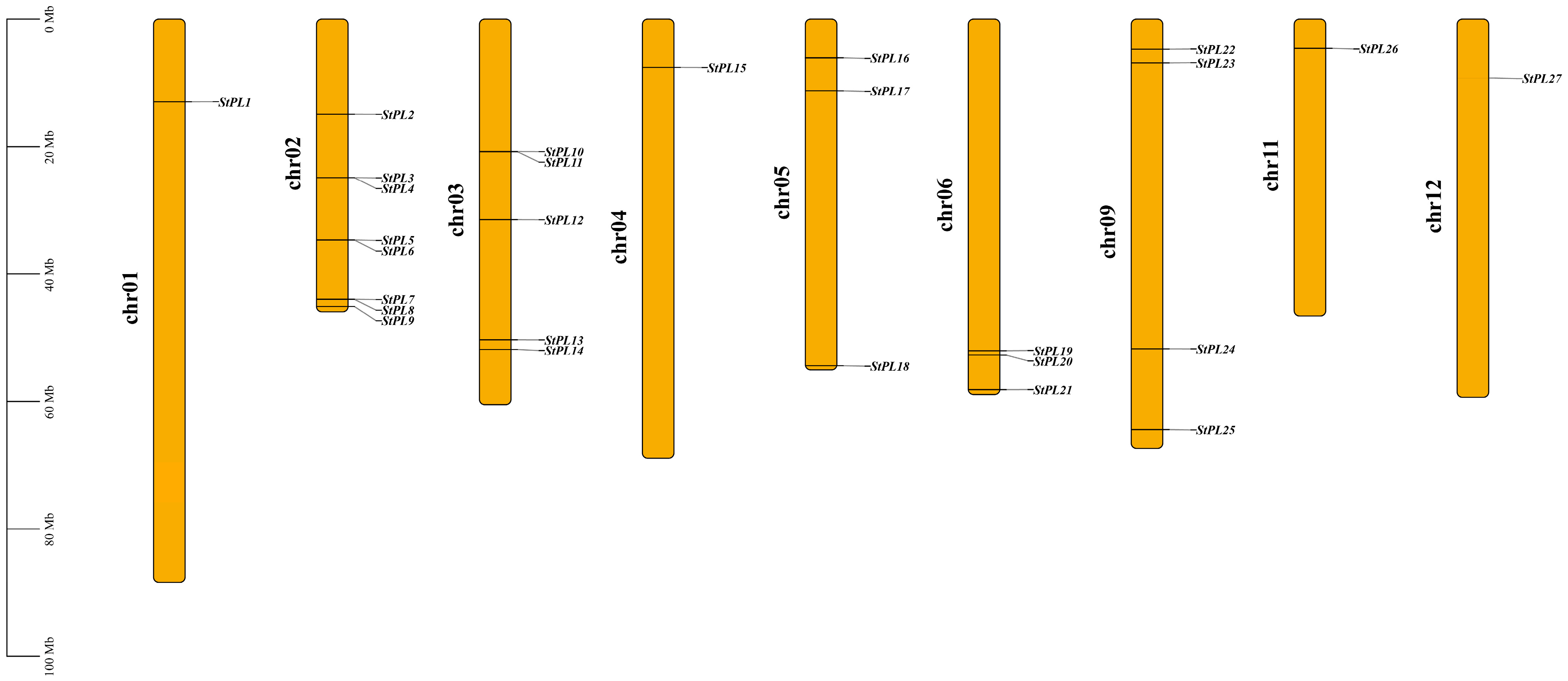 Plants 13 01322 g001