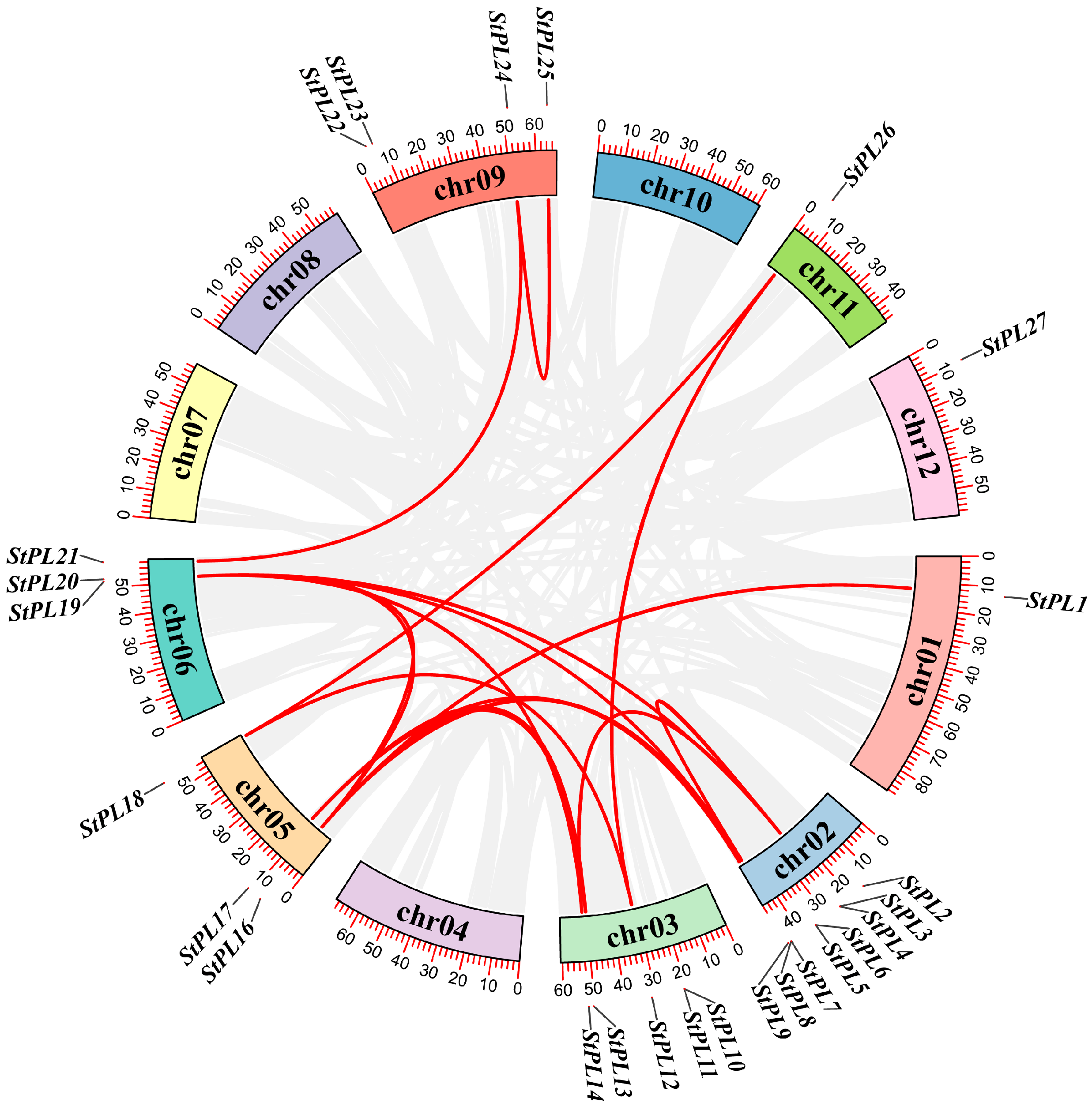 Plants 13 01322 g002