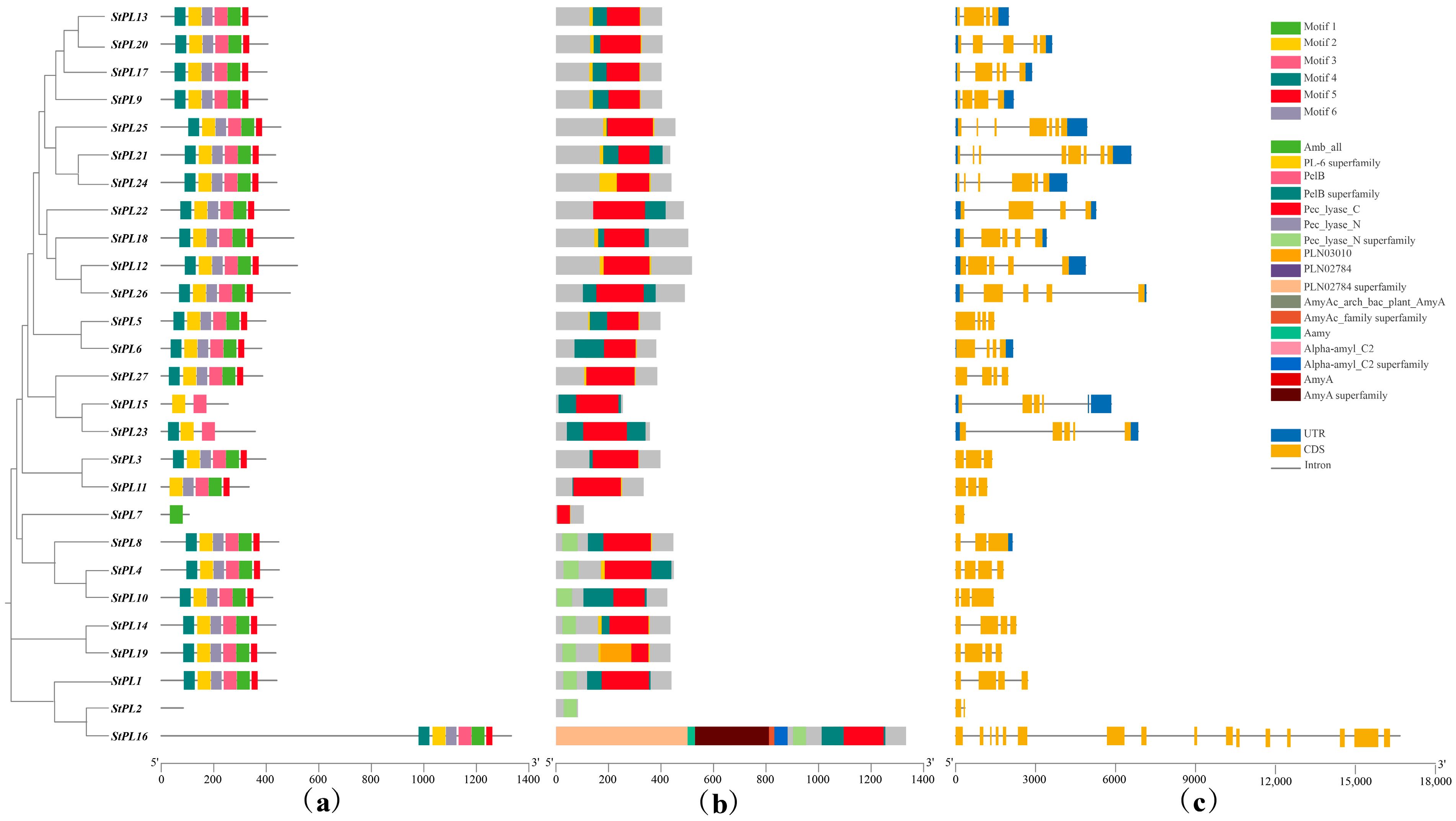 Plants 13 01322 g005