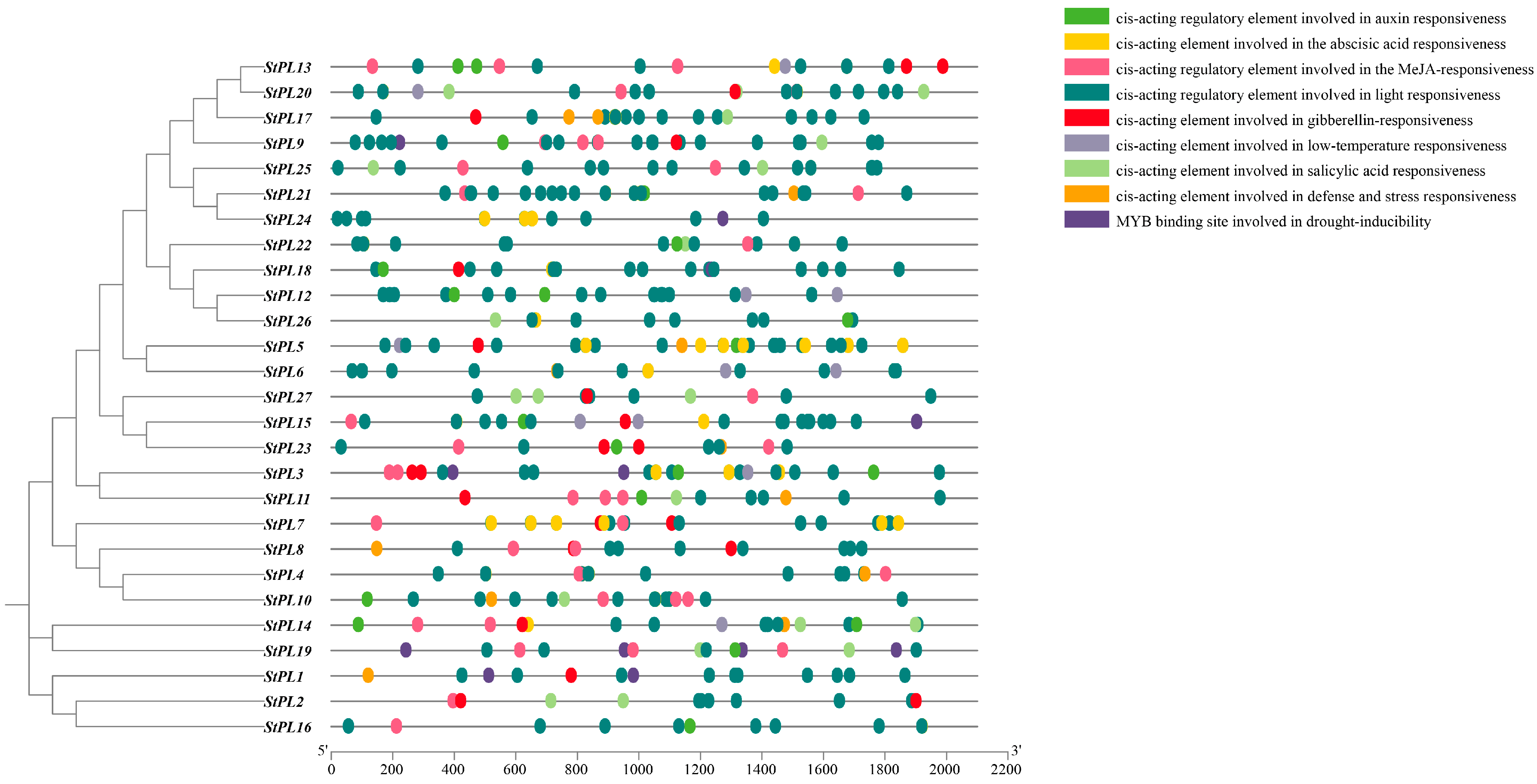 Plants 13 01322 g006
