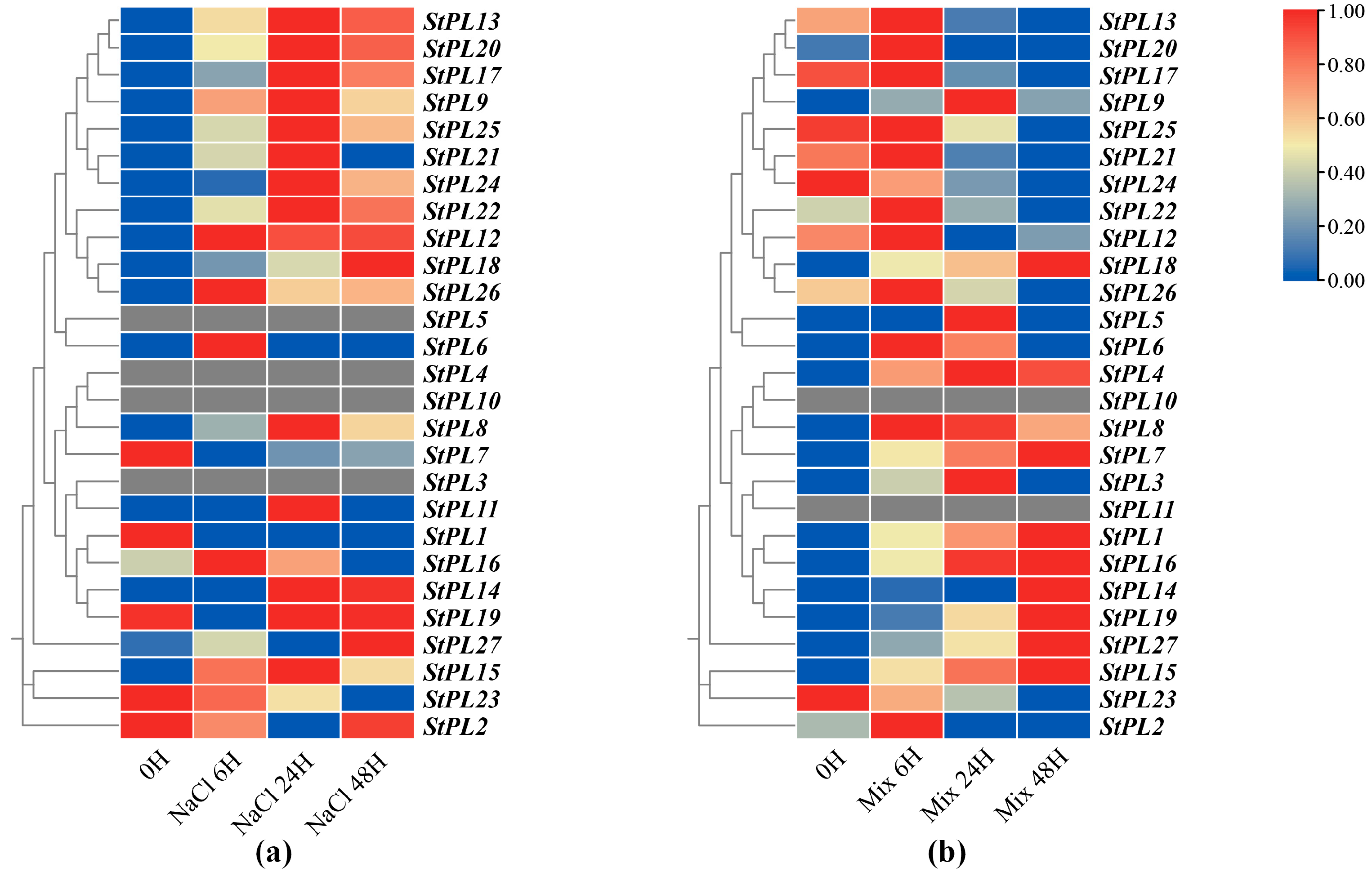 Plants 13 01322 g007