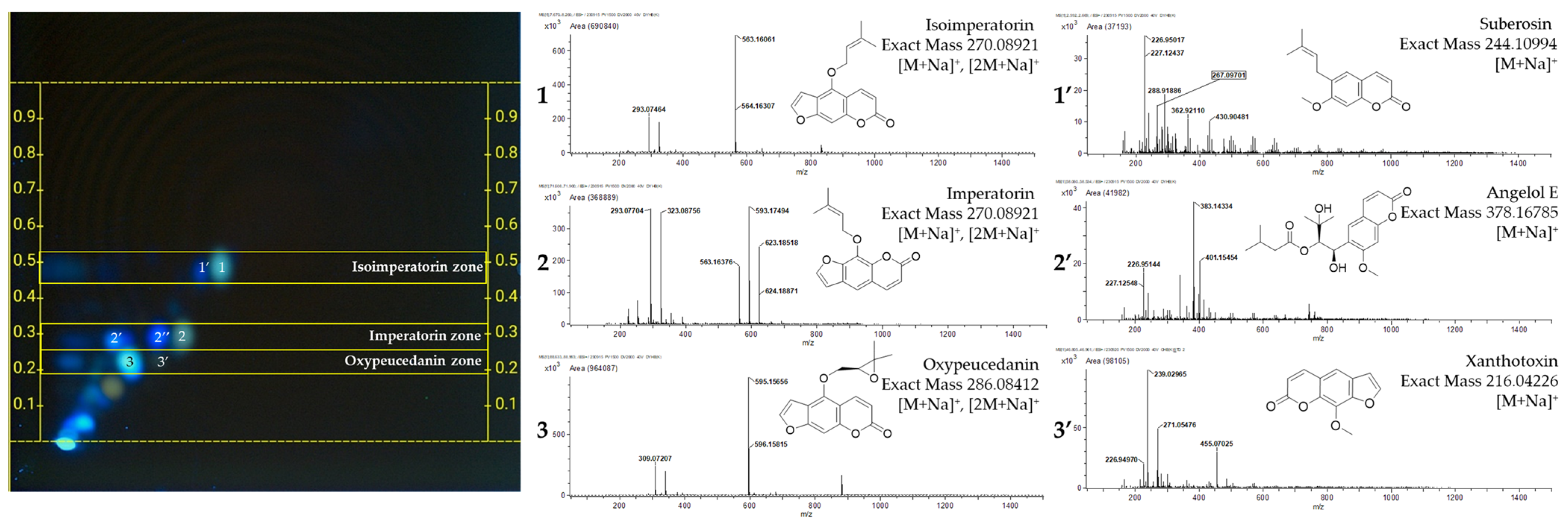 Plants 13 01348 g002
