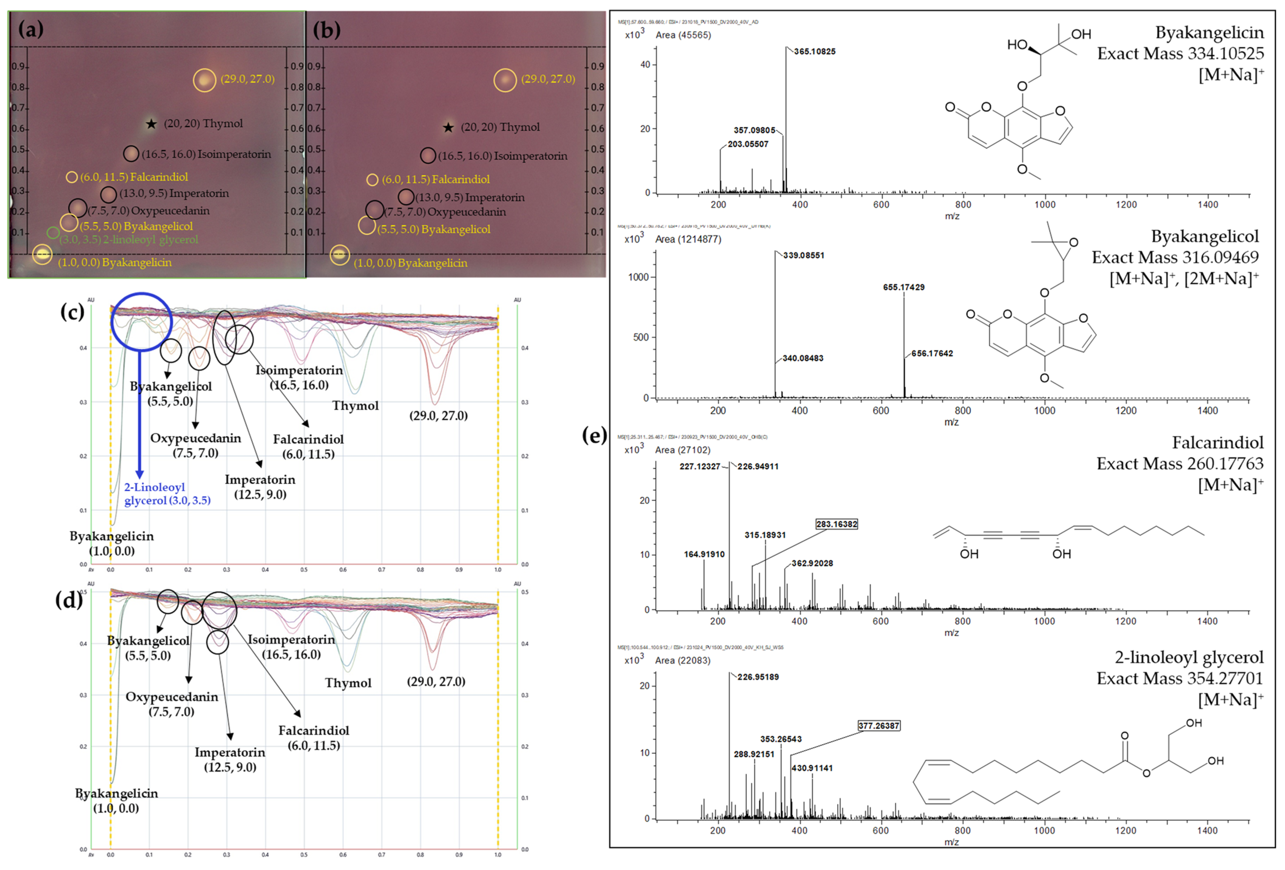 Plants 13 01348 g004