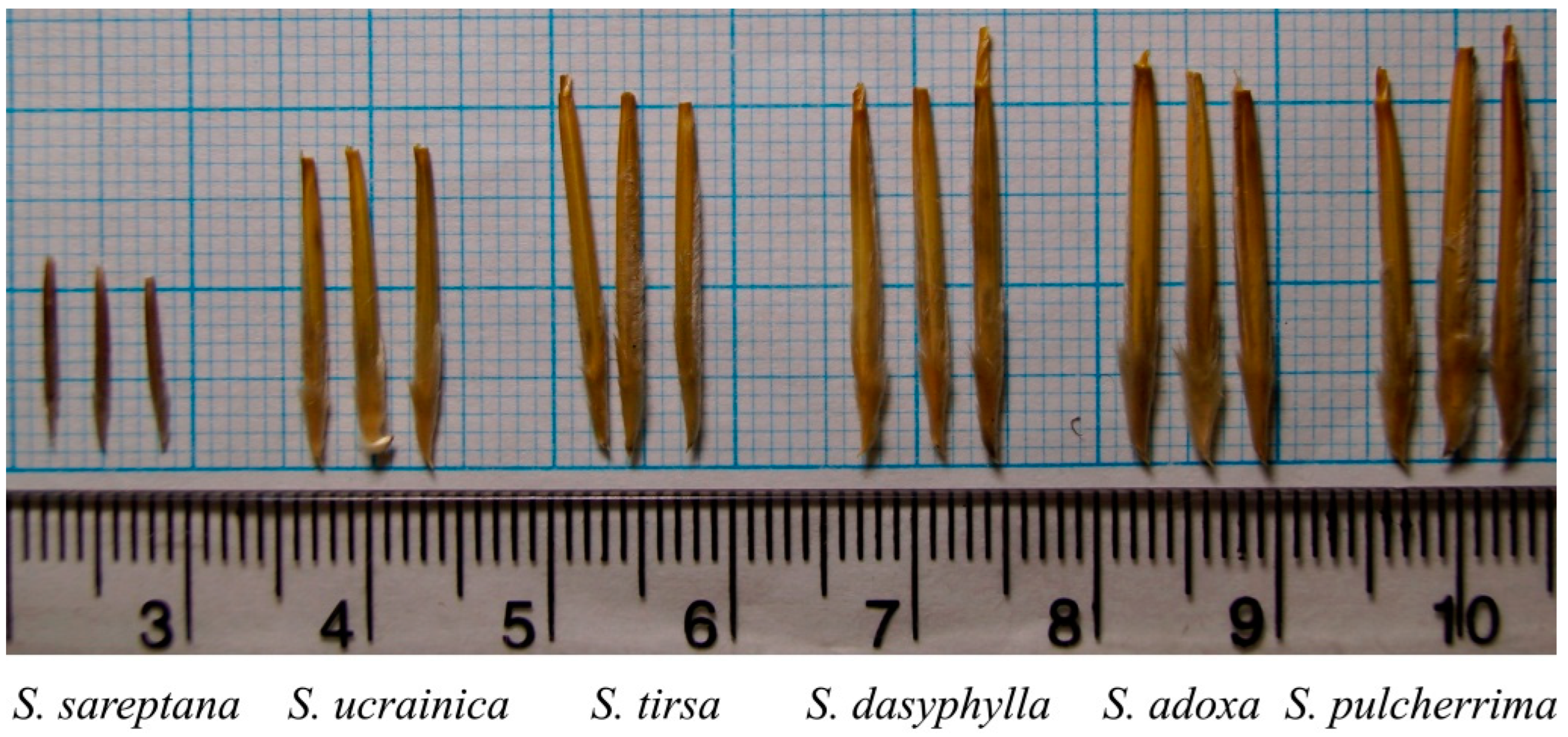 Plants 13 01354 g007