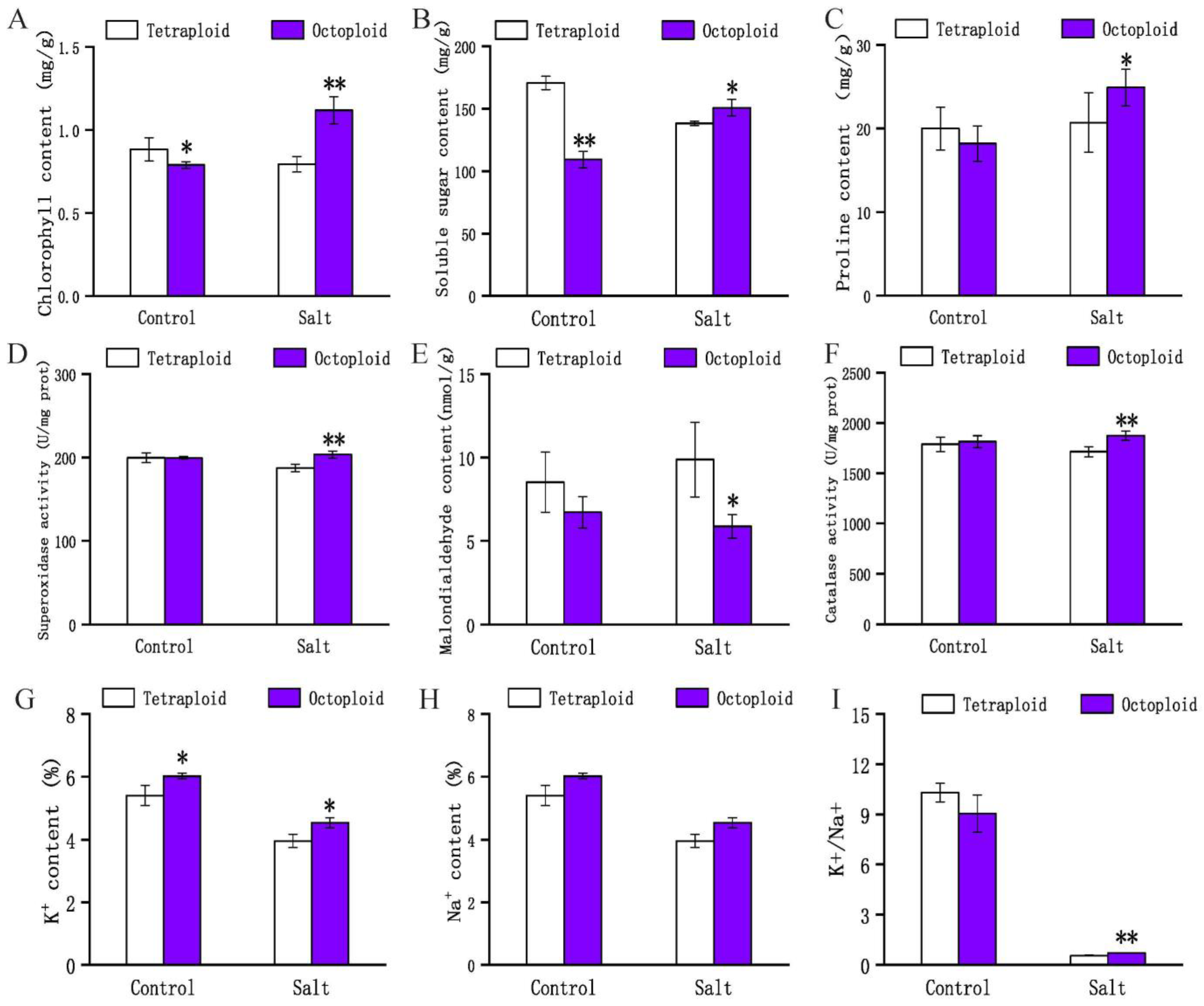 Plants 13 01383 g002