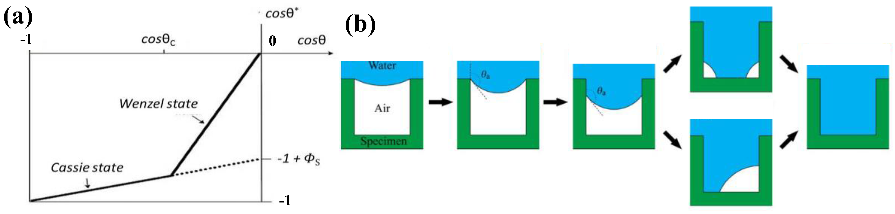 Polymers 09 00725 g004