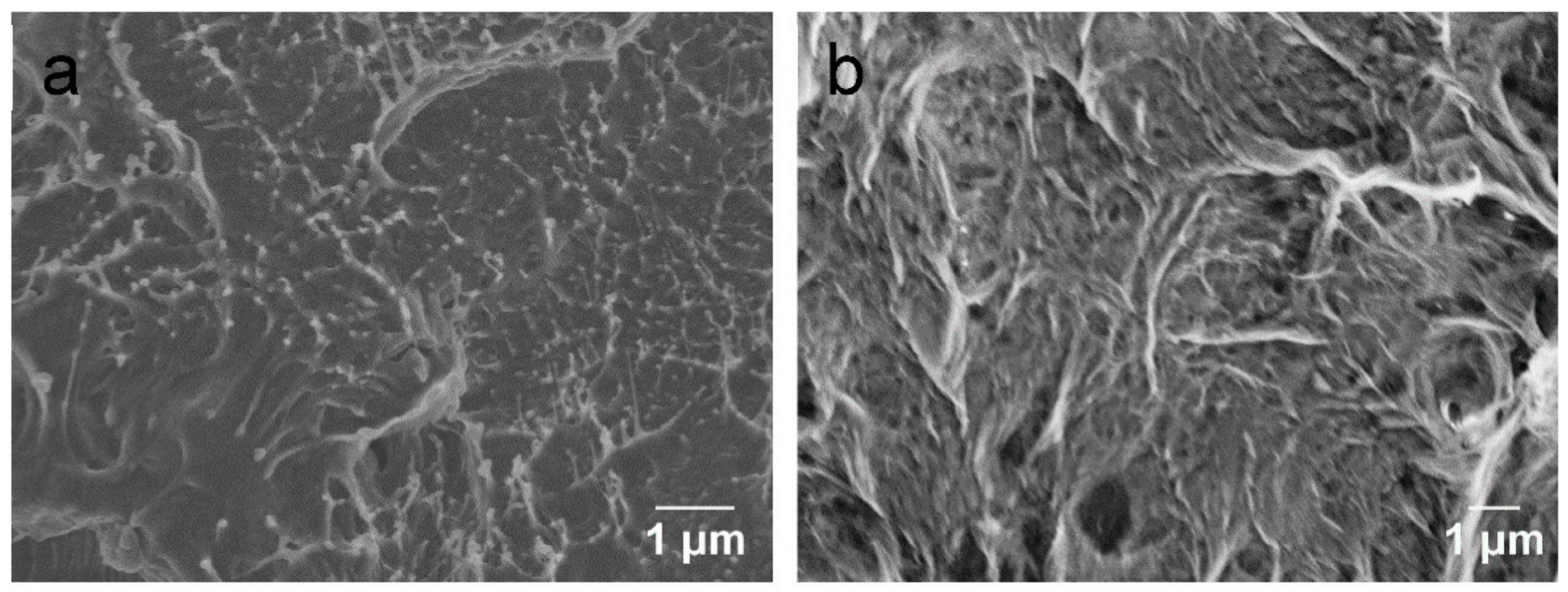 Polymers 14 03946 g011
