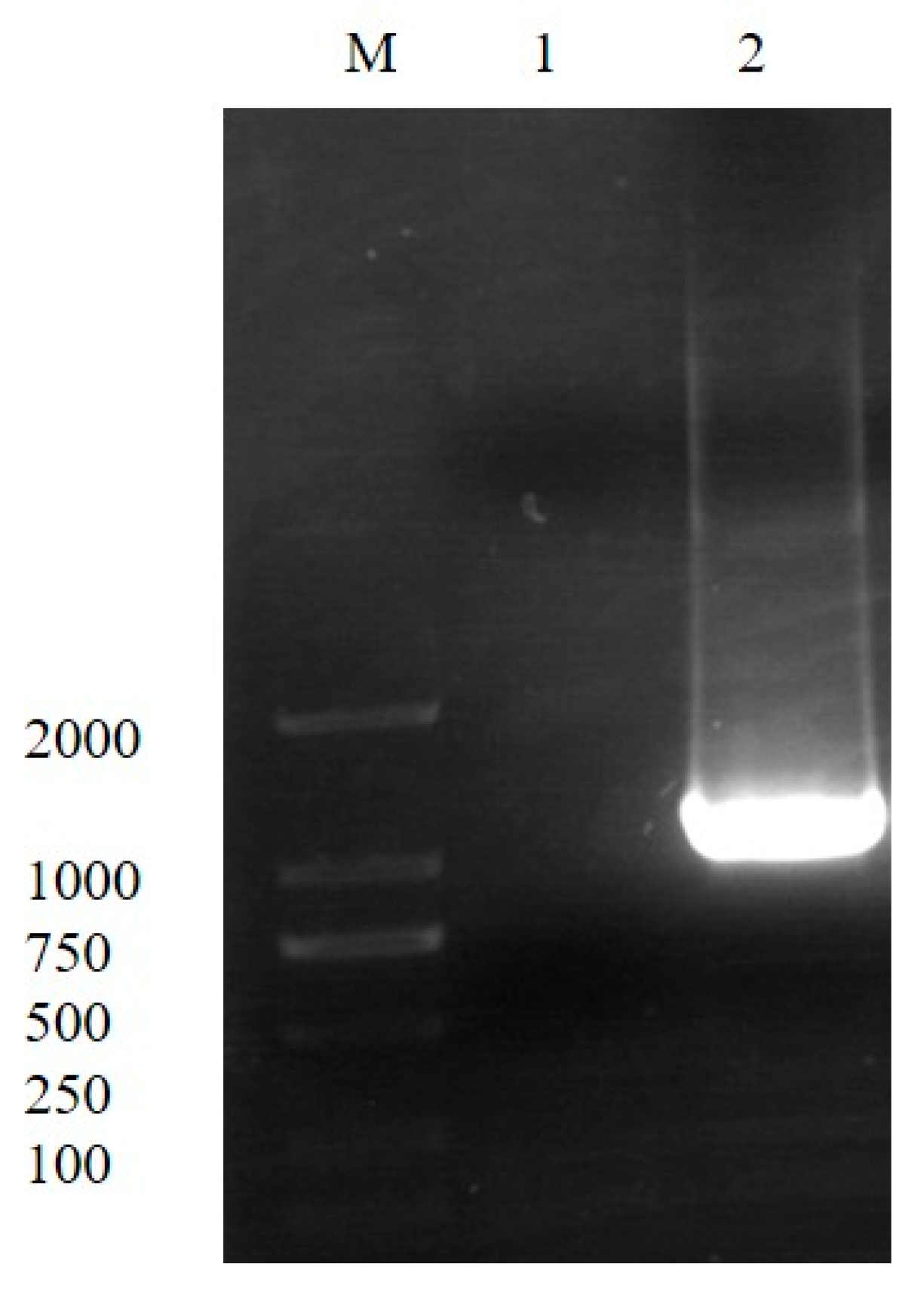 Polymers 15 02290 g003 Polymers 15 02290 g003