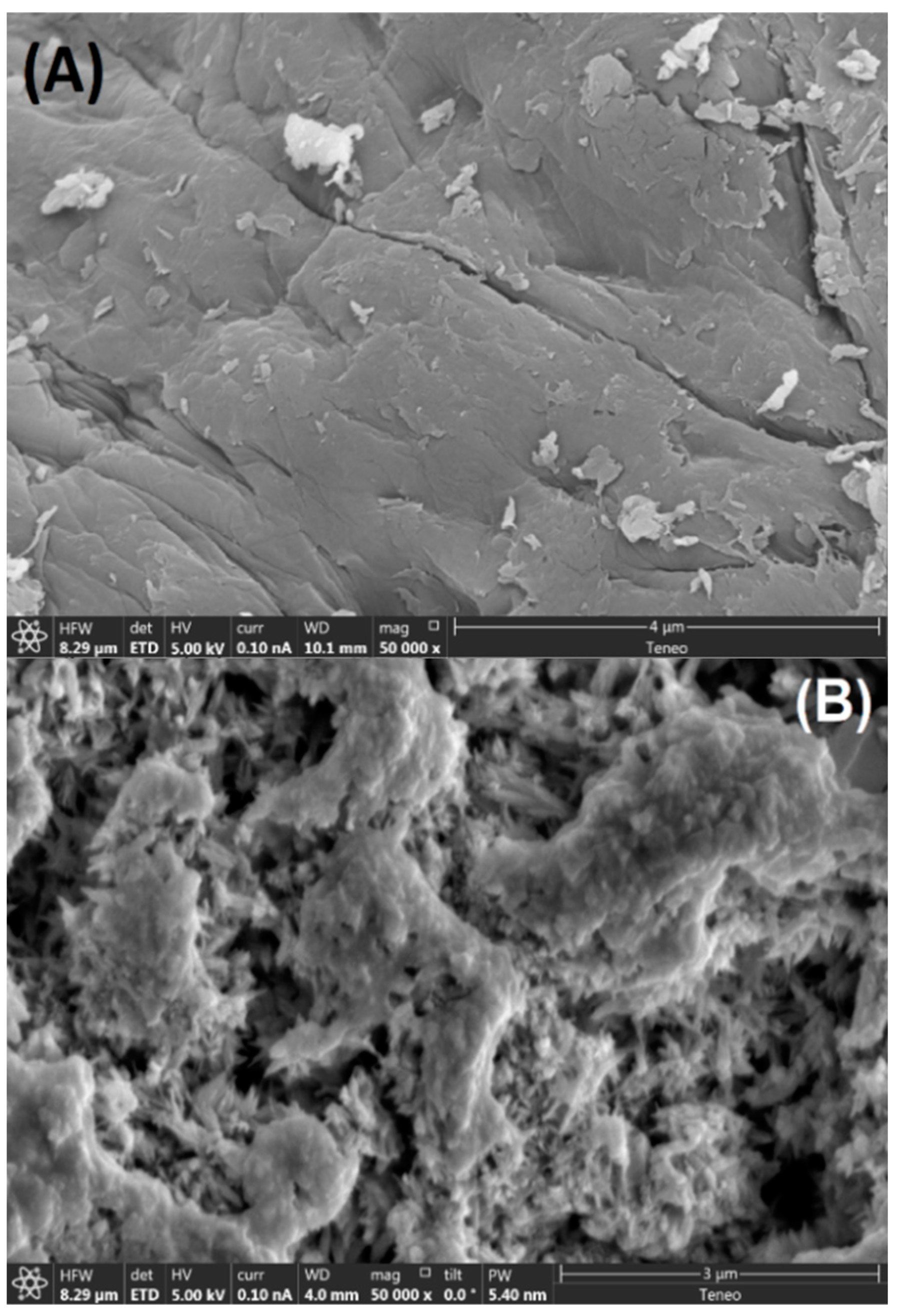 Polymers 15 03817 g003