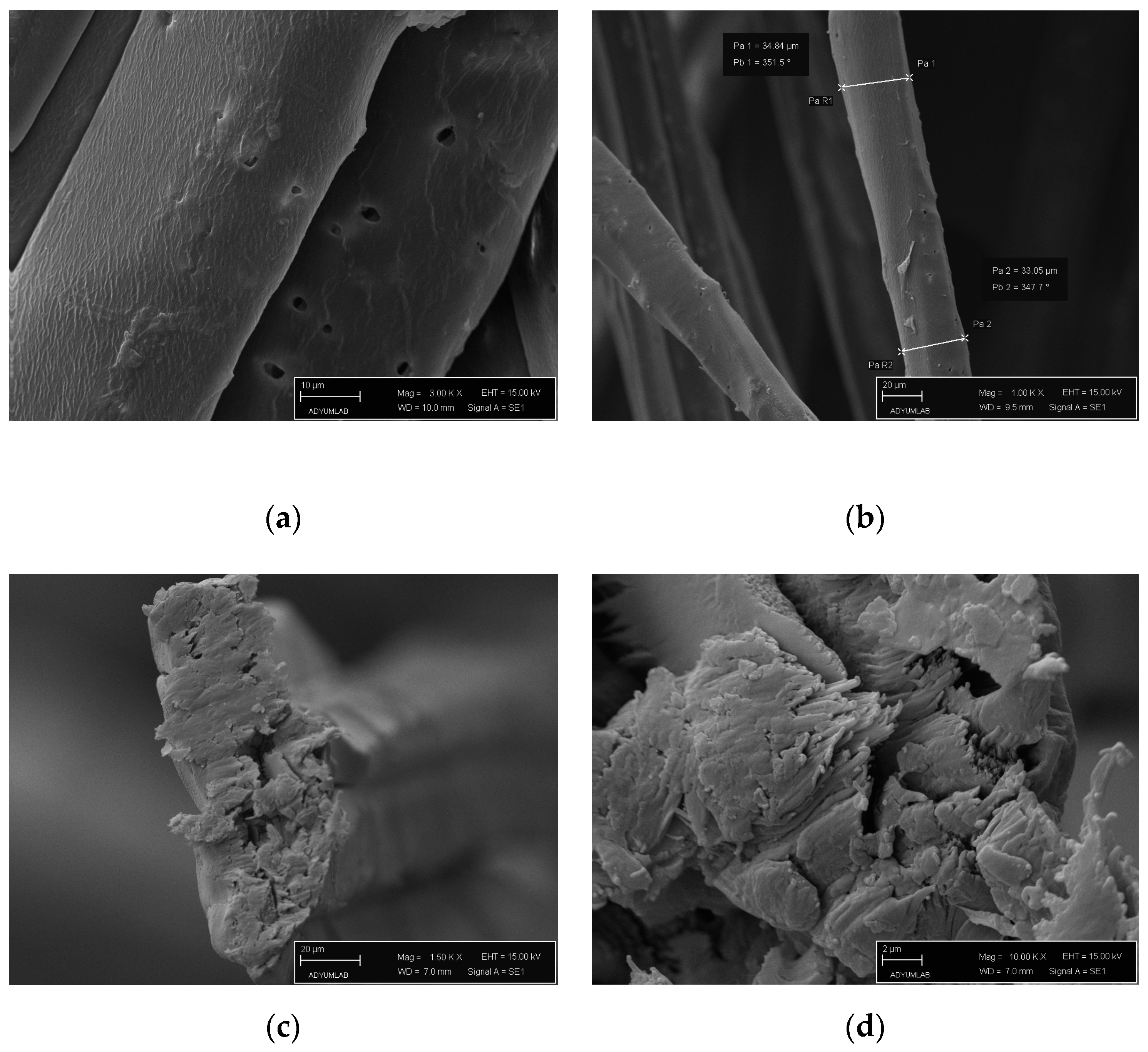 Polymers 16 01117 g003