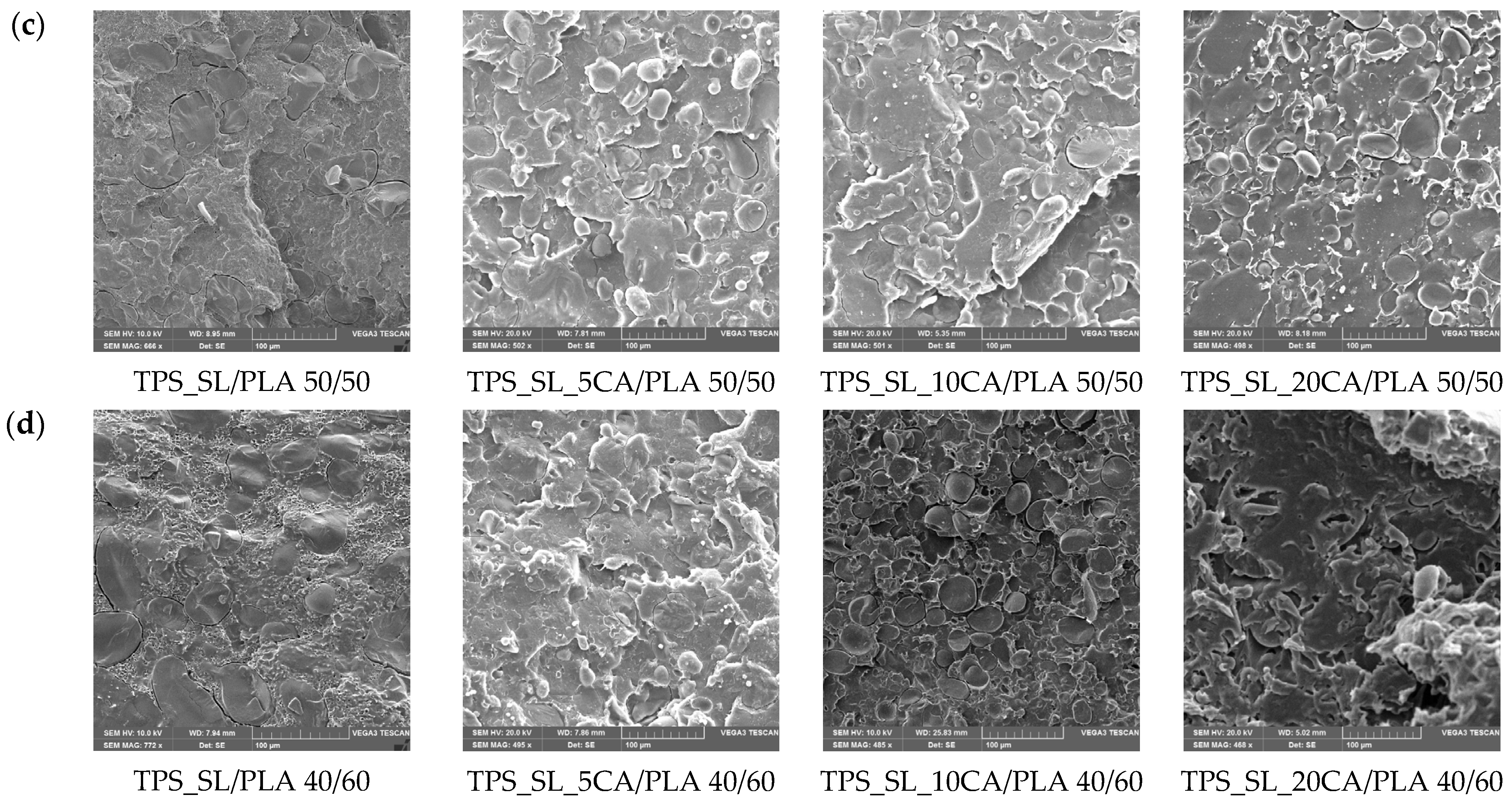 Polymers 16 01268 g004b