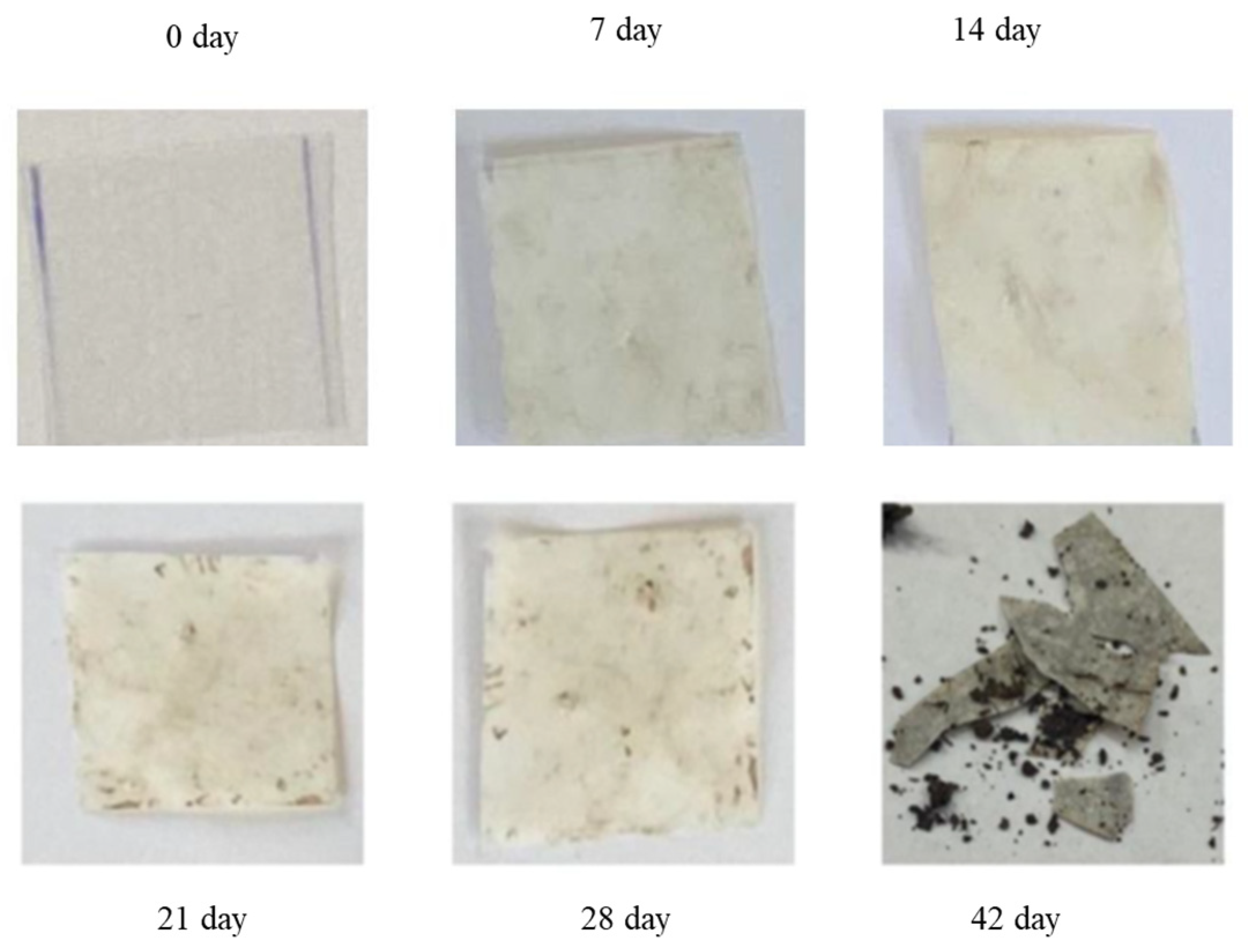 Polymers 16 01268 g012