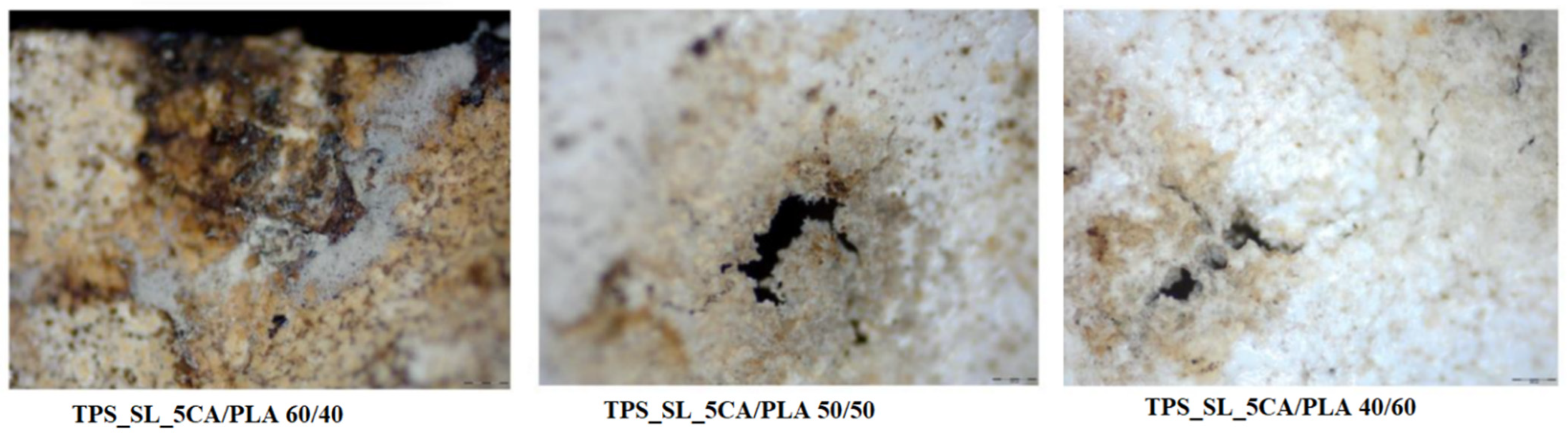 Polymers 16 01268 g014