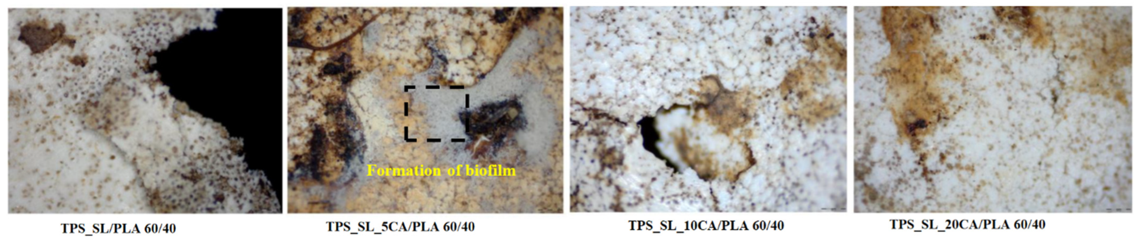 Polymers 16 01268 g015