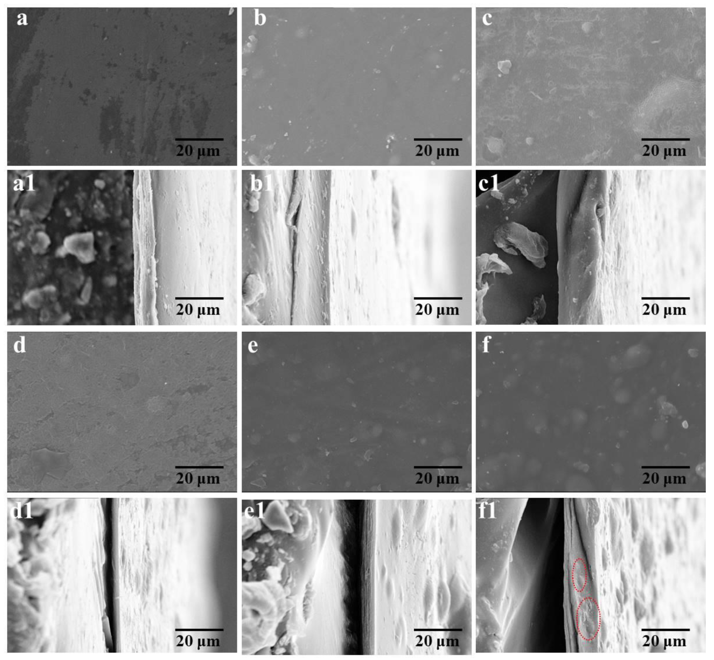 Polymers 16 01269 g006
