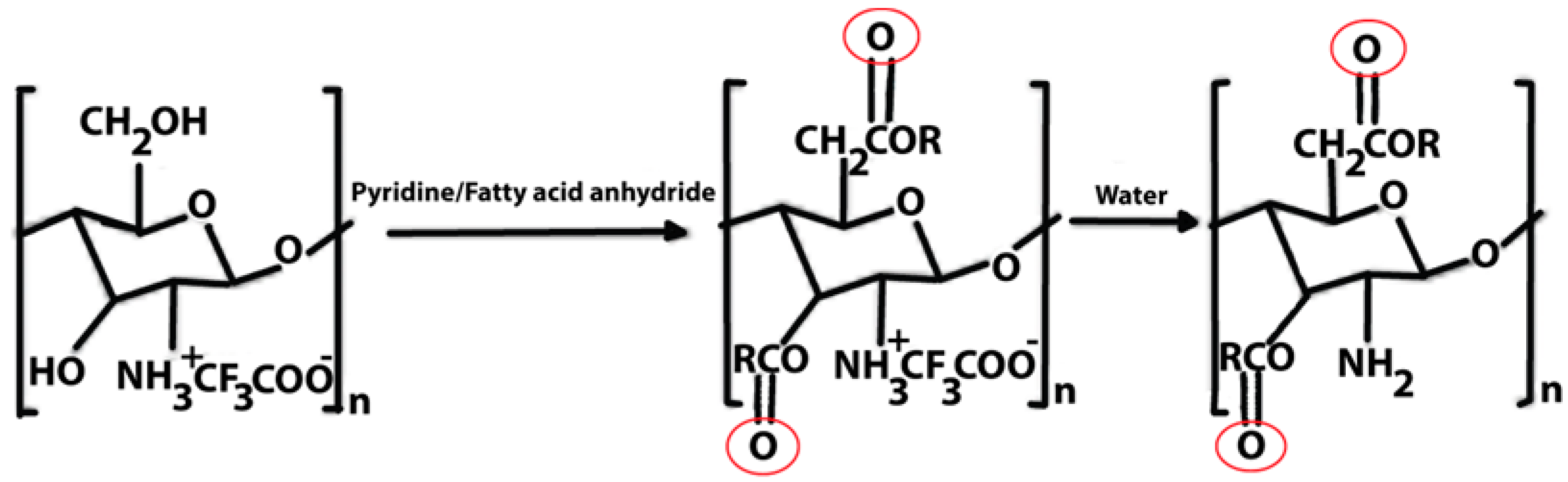 Polymers 16 01351 i007