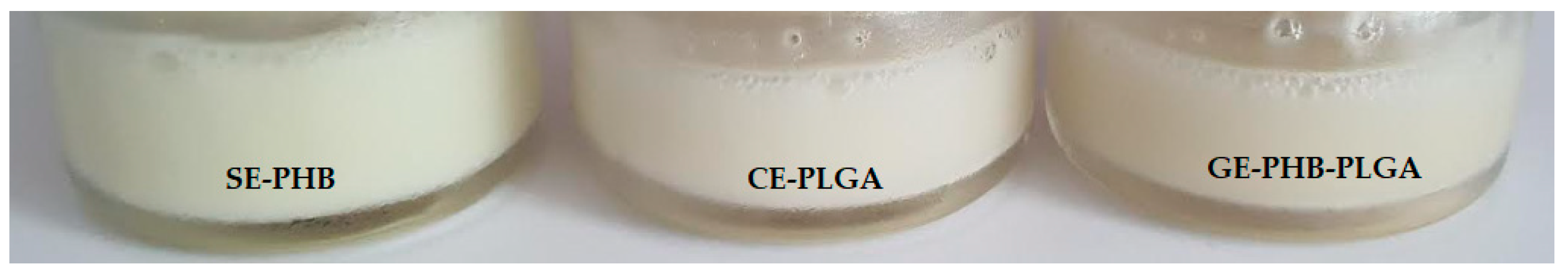 Polymers 16 01362 g001