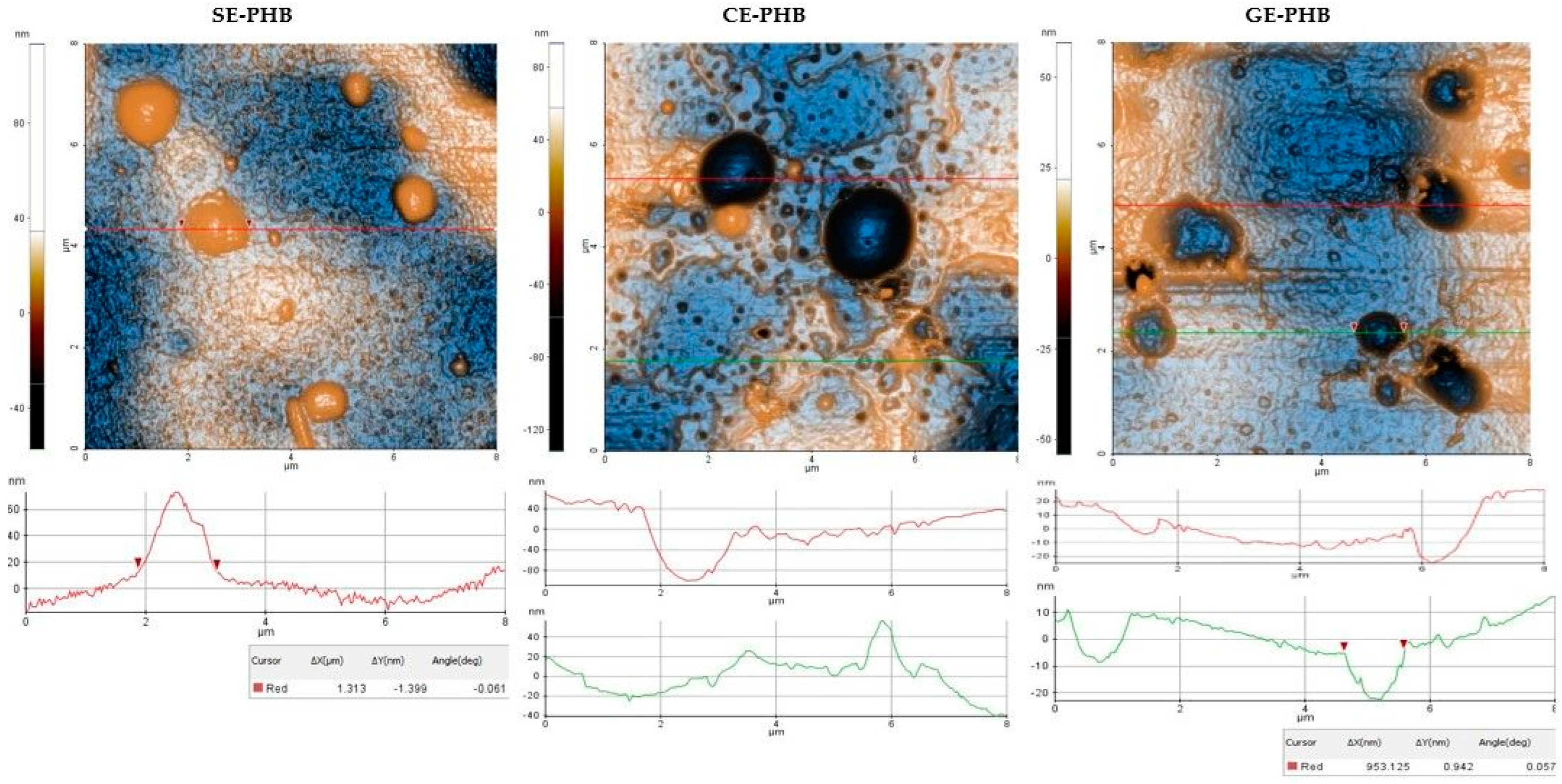 Polymers 16 01362 g004