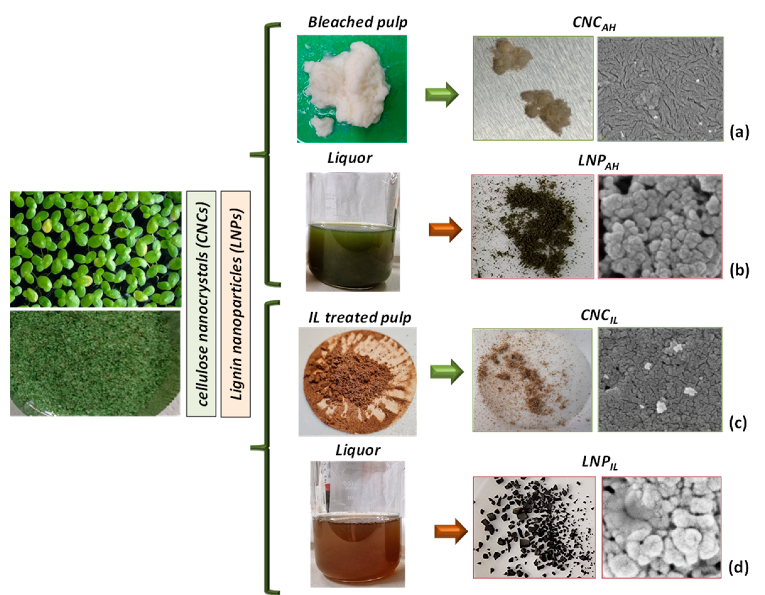 Polymers 16 01395 sch001