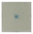 Polymers 16 01400 i004