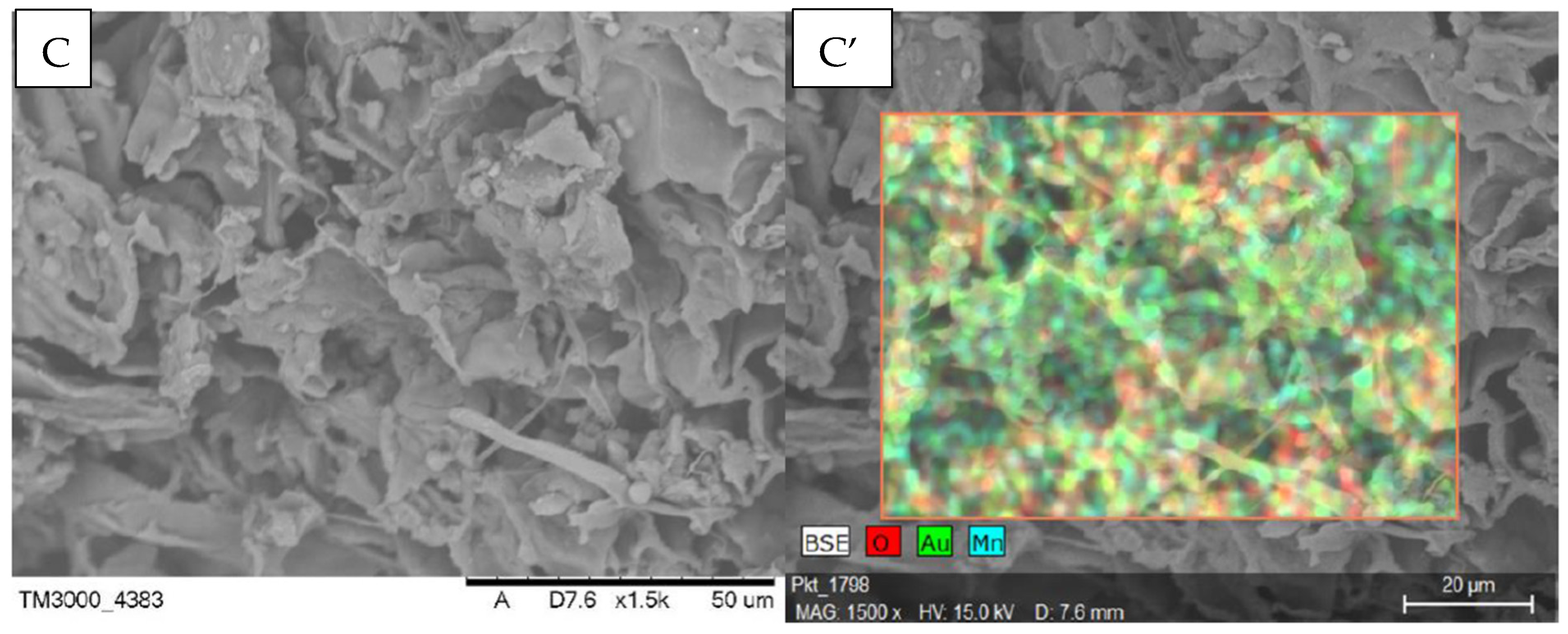 Processes 12 01005 g001b