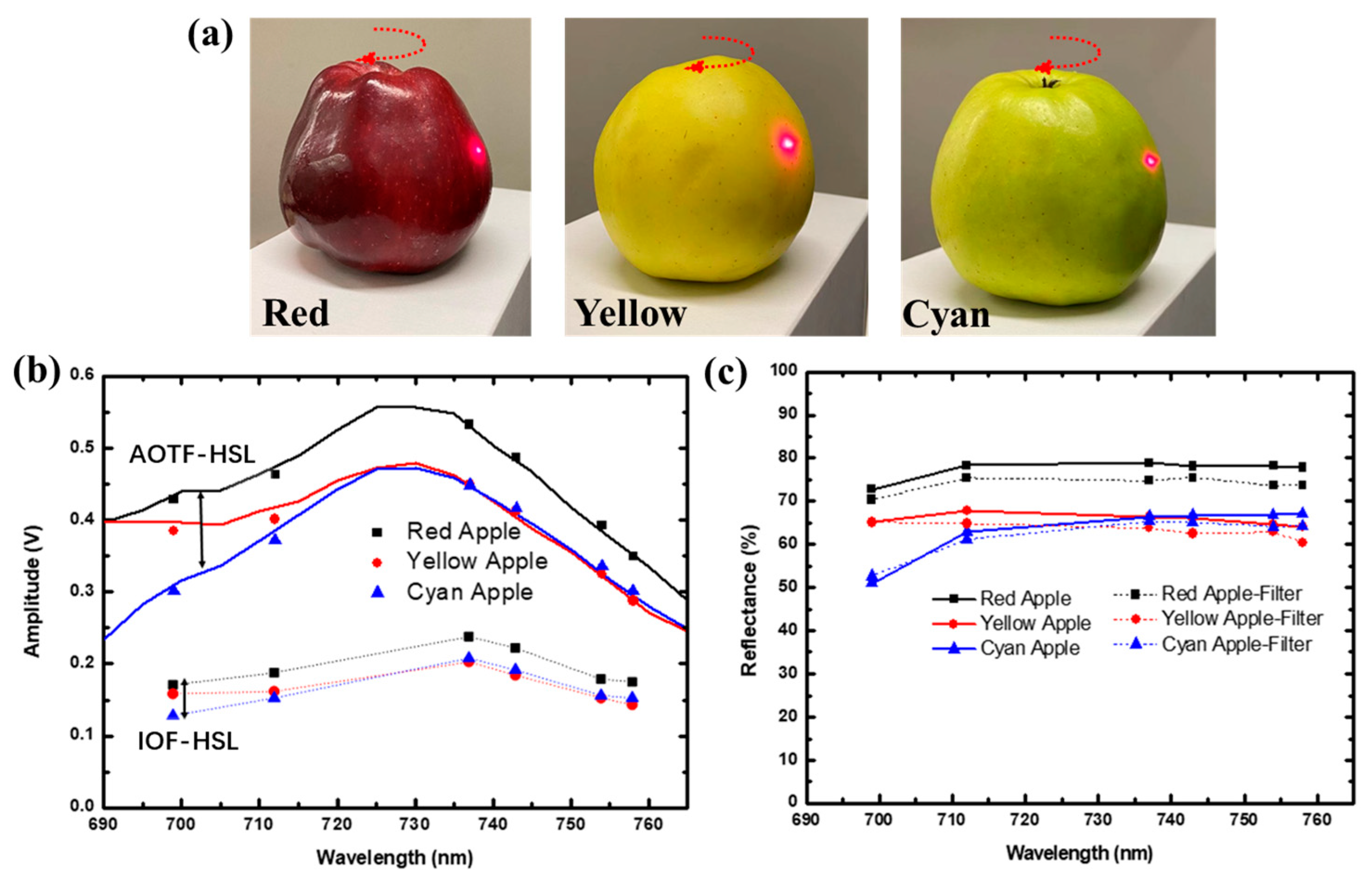 Remotesensing 16 01642 g006
