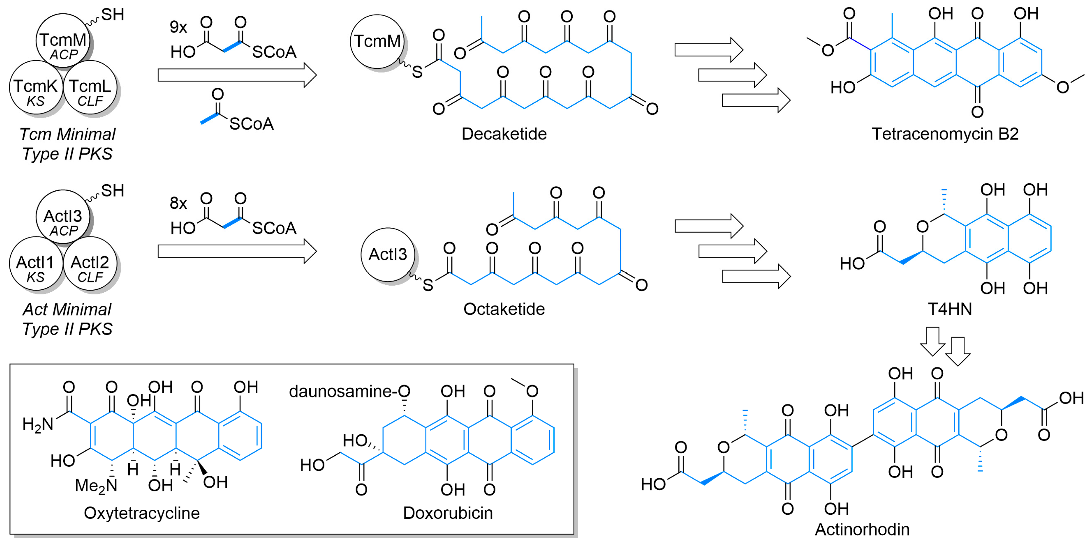Synbio 02 00006 g001 Synbio 02 00006 g001
