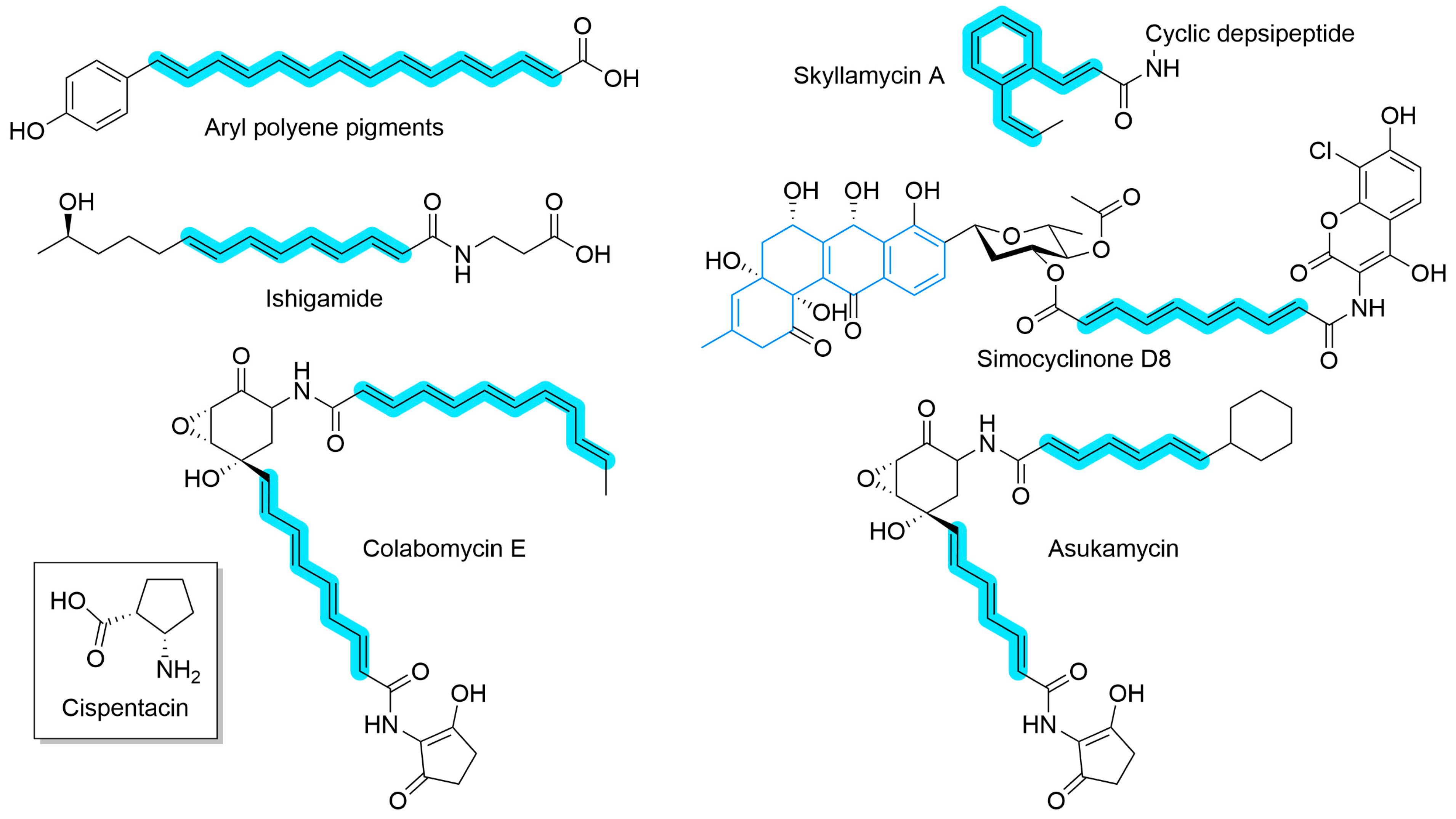 Synbio 02 00006 g009 Synbio 02 00006 g009