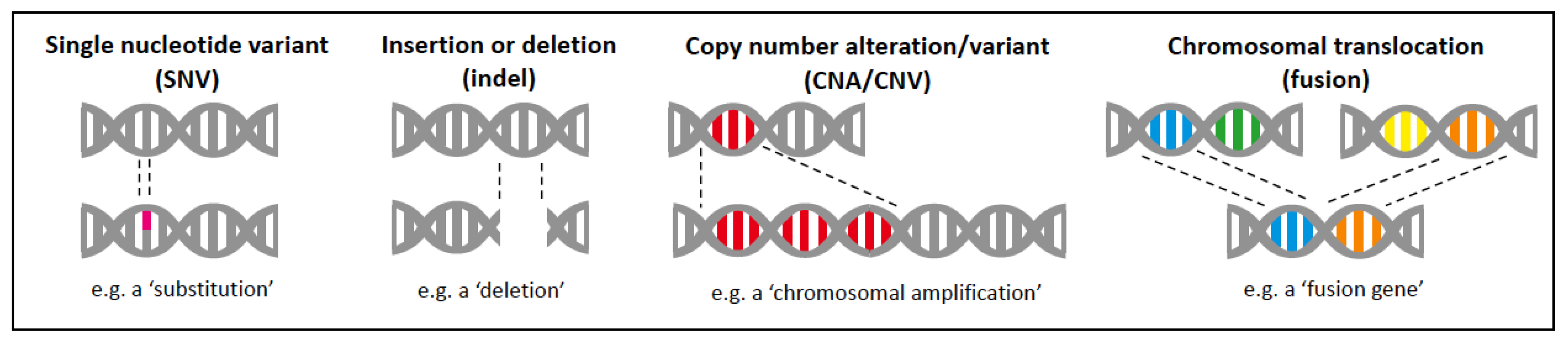 Vetsci 11 00199 g001