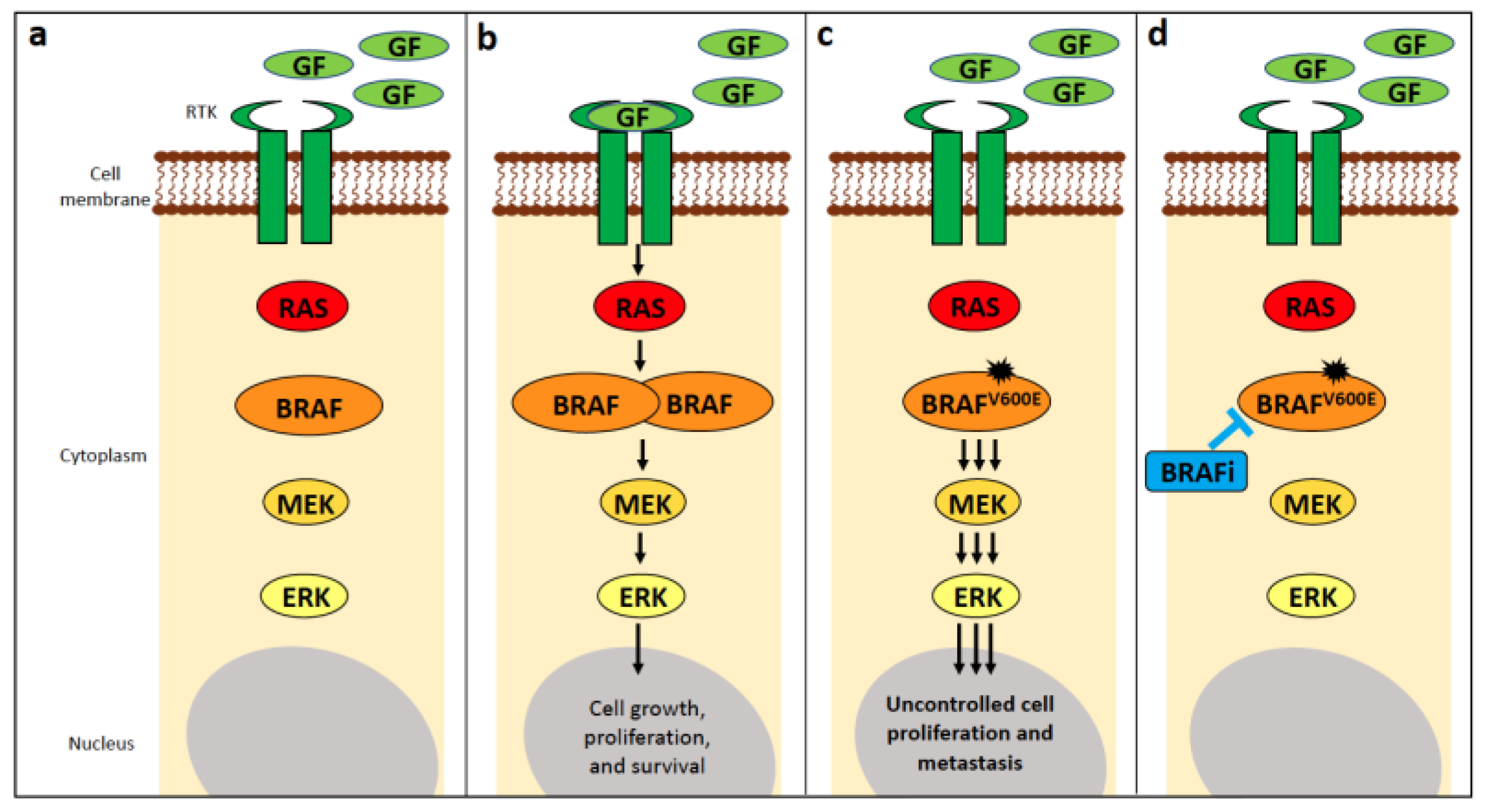 Vetsci 11 00199 g002