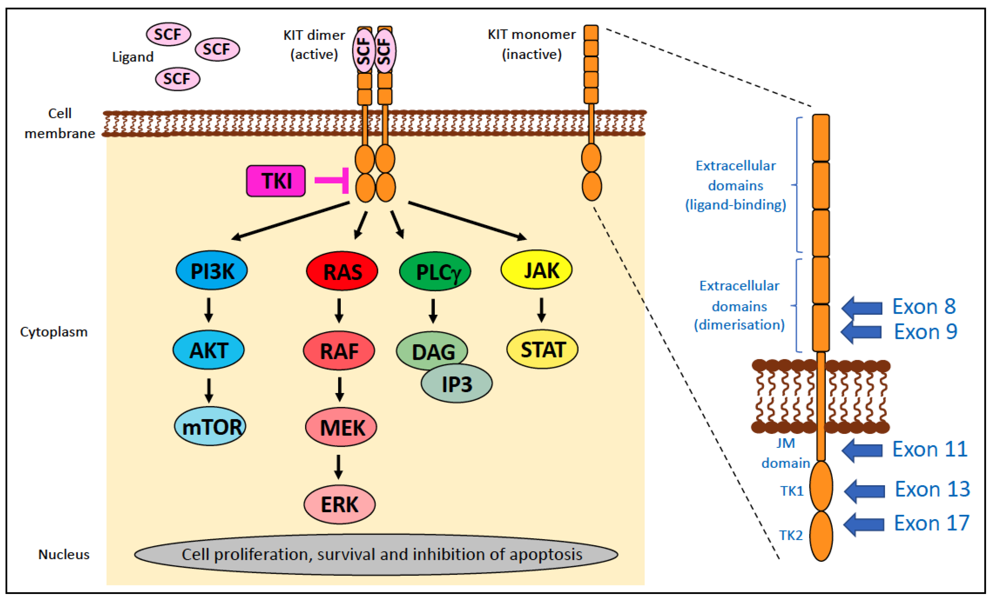 Vetsci 11 00199 g007
