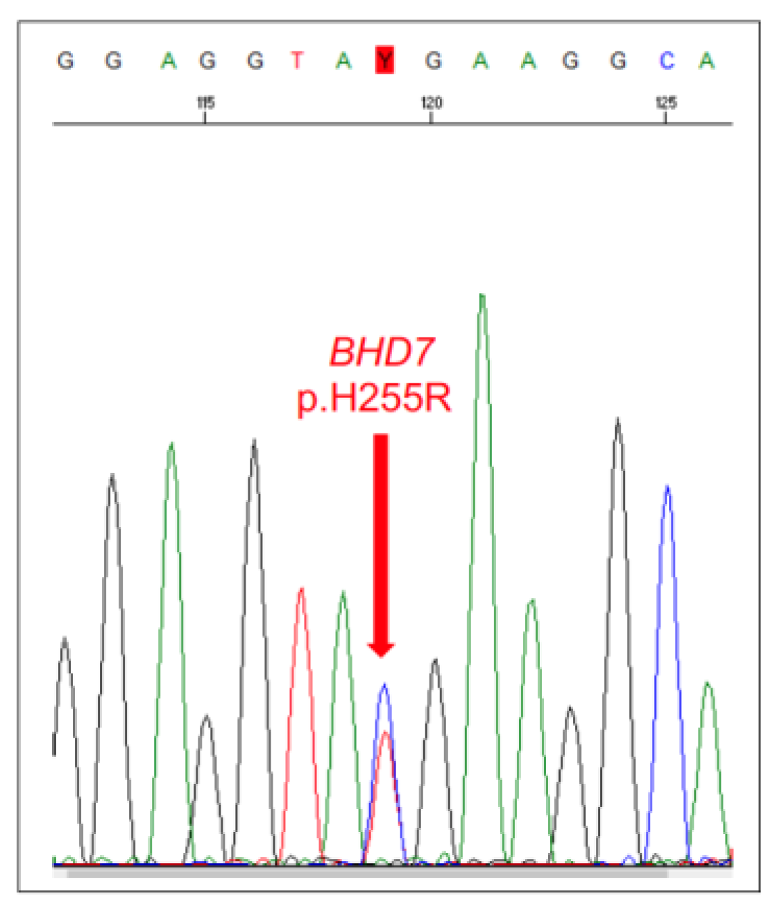 Vetsci 11 00199 g014