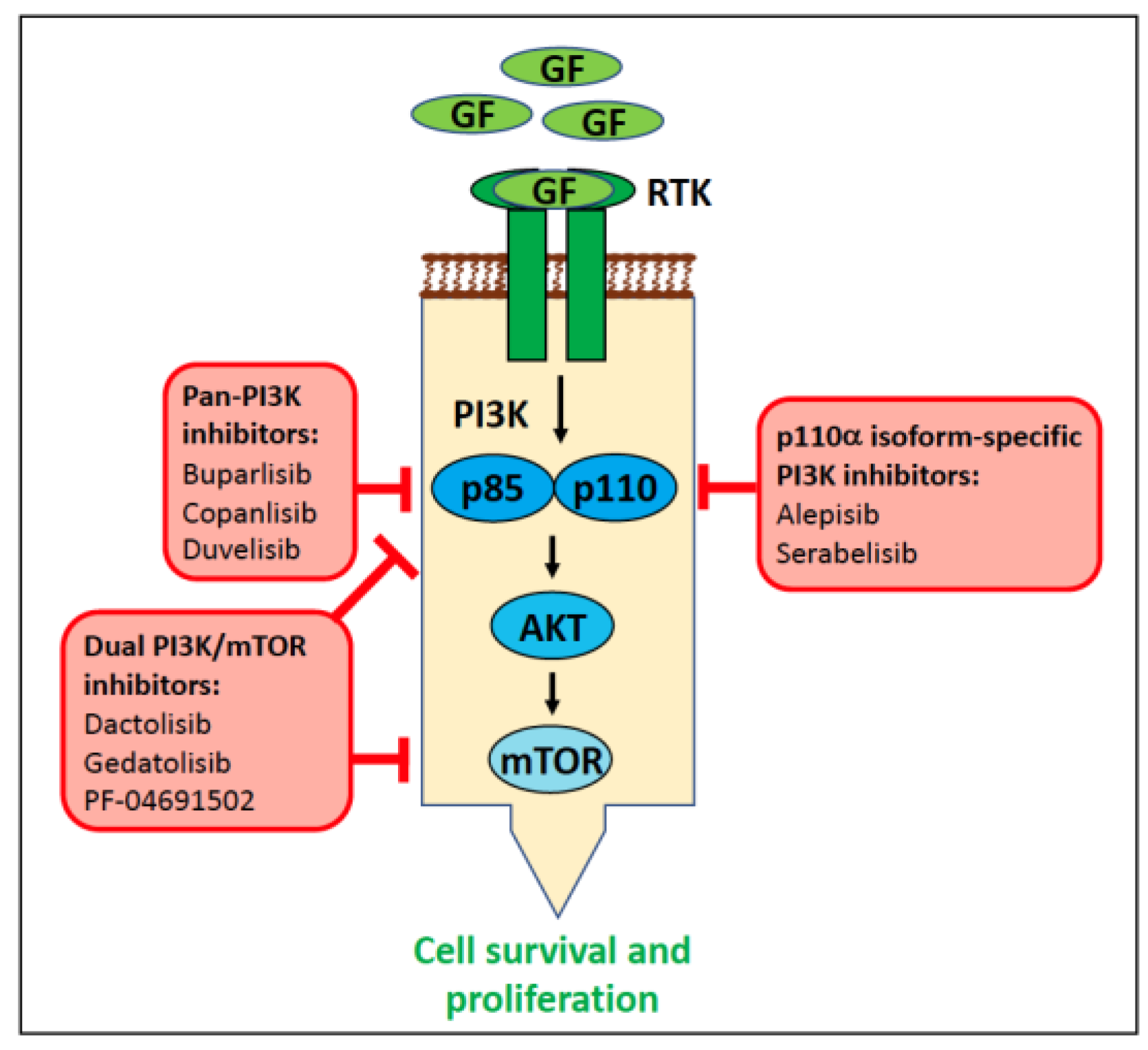 Vetsci 11 00199 g023